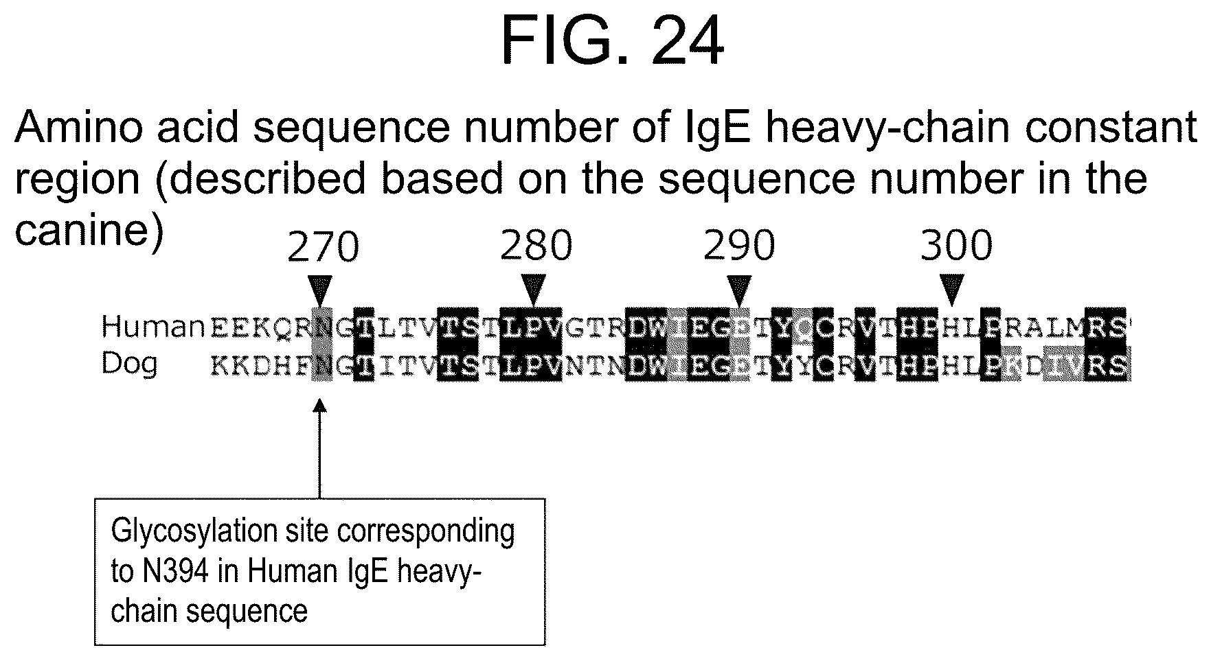 Patent US12319751 Figure 19 – Anti-IgE antibody specifically binding to membrane-bound IgE antibody of IgE antibody-producing B cells and method for diagnosing and treating allergic symptoms using the same