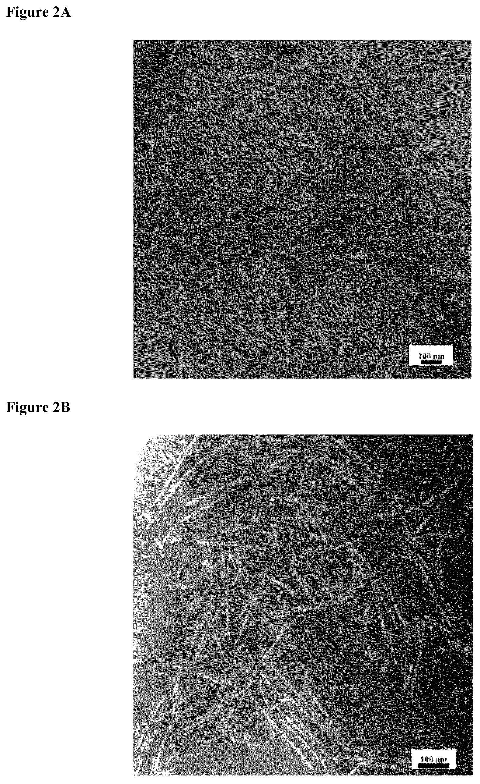 Patent US12319752 Figure 3 – Heparin-binding cationic peptide self-assembling peptide amphiphiles useful against drug-resistant bacteria