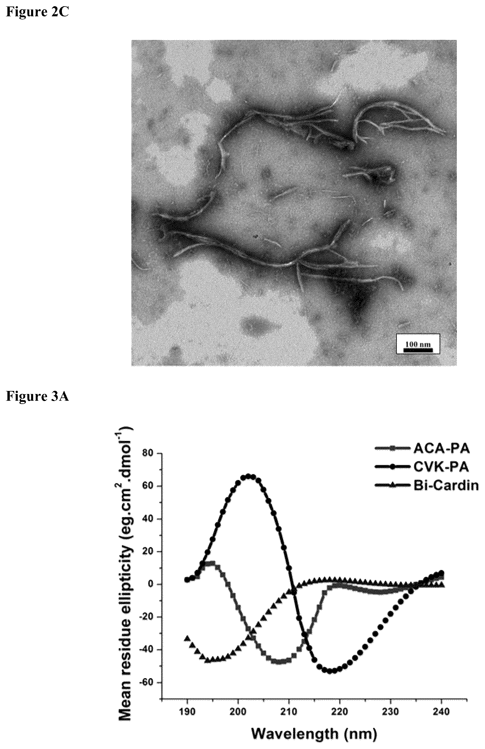 Patent US12319752 Figure 4 – Heparin-binding cationic peptide self-assembling peptide amphiphiles useful against drug-resistant bacteria