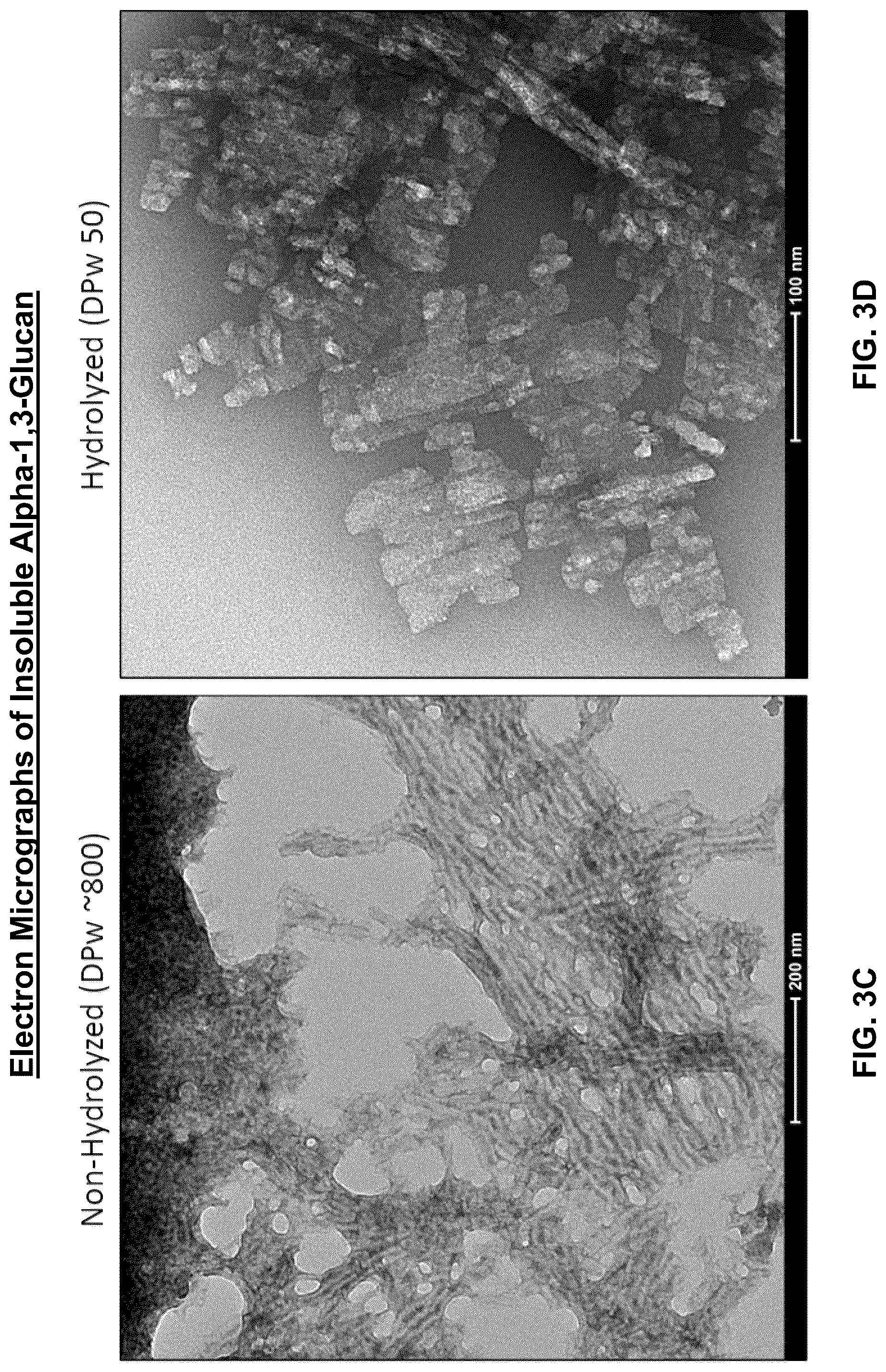 Patent US12319753 Figure 3 – Highly crystalline alpha-1,3-glucan