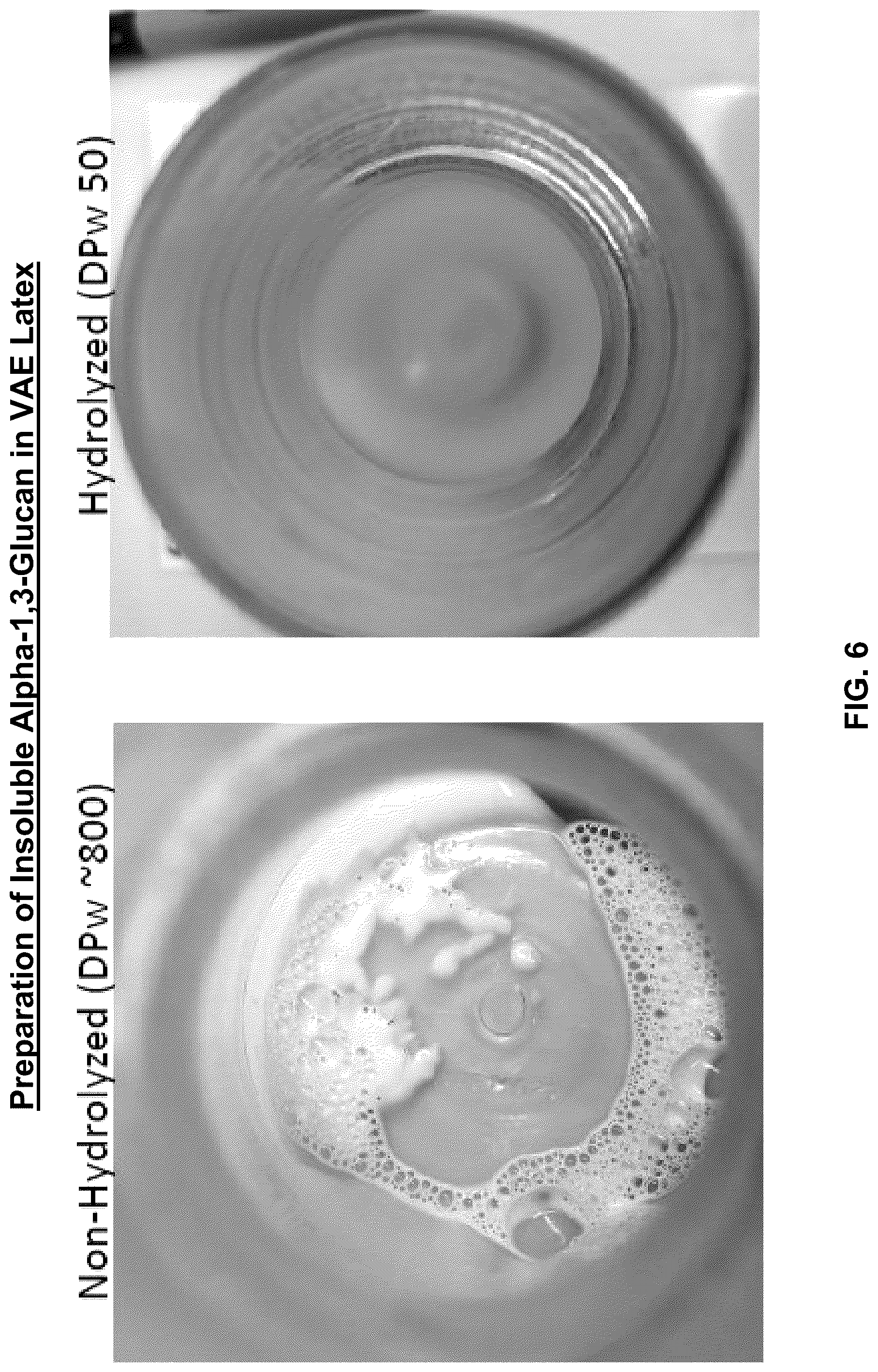 Patent US12319753 Figure 6 – Highly crystalline alpha-1,3-glucan