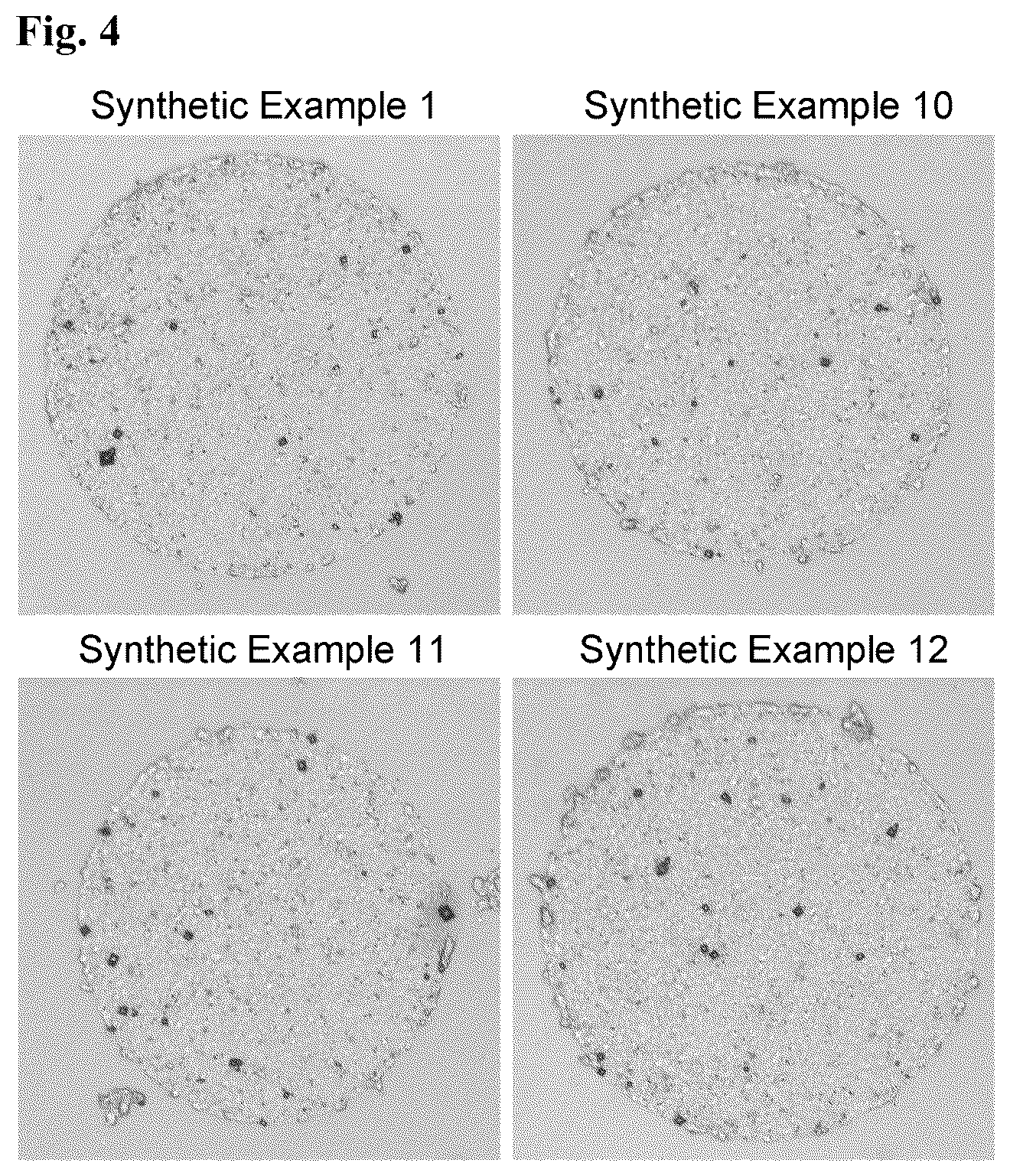 Patent US12319765 Figure 2 – Method for producing polymer used as base film for cell culture, and cell culture container