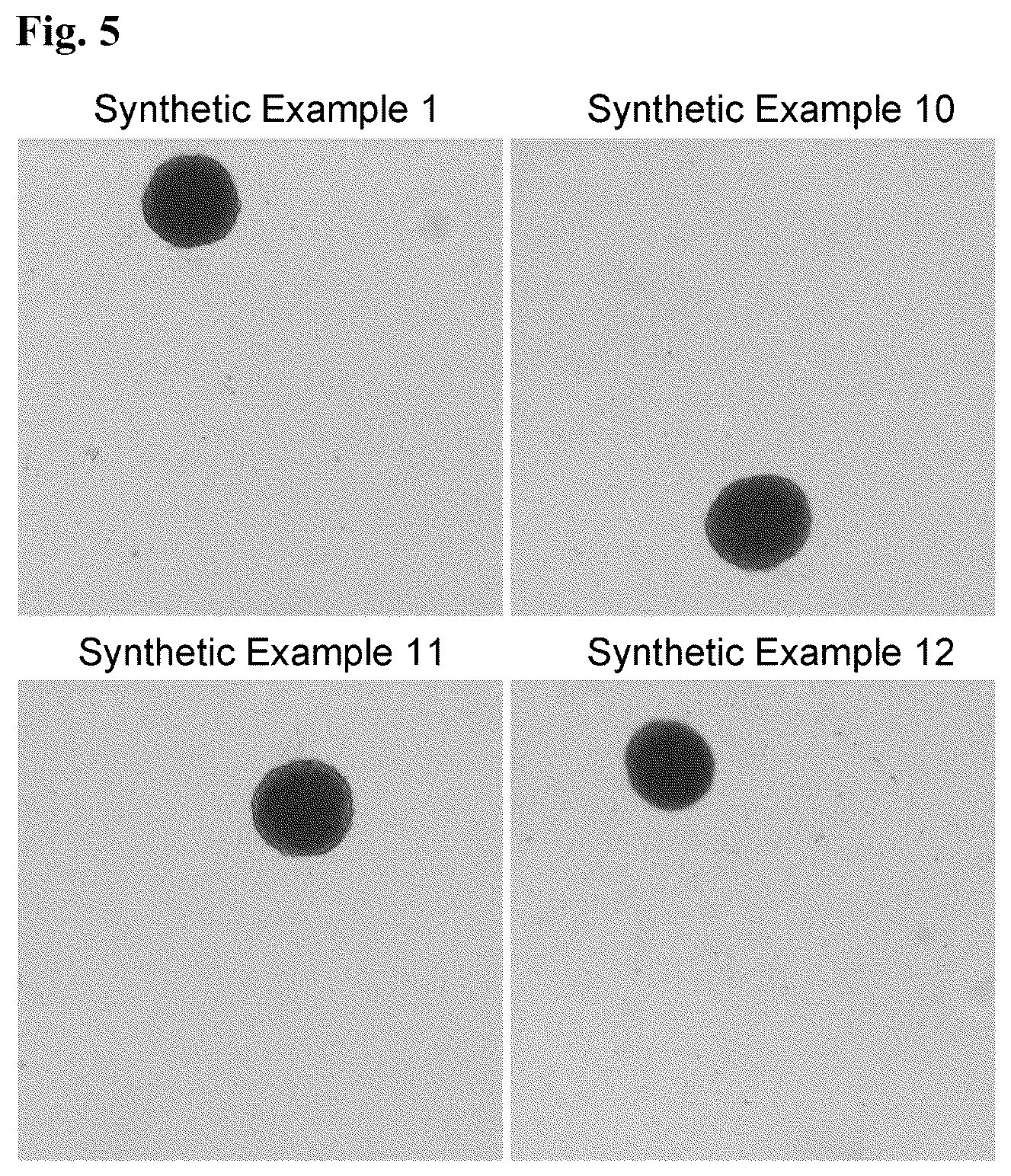 Patent US12319765 Figure 3 – Method for producing polymer used as base film for cell culture, and cell culture container