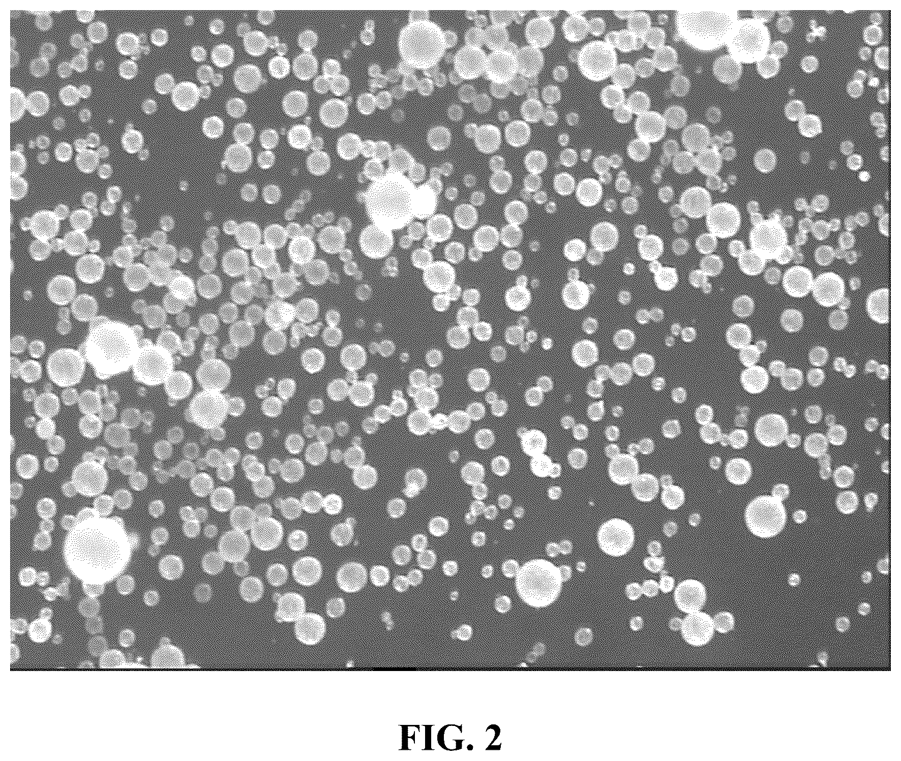 Patent US12319773 Figure 2 – Carrier for olefin polymerization catalyst, and preparation method therefor and application thereof