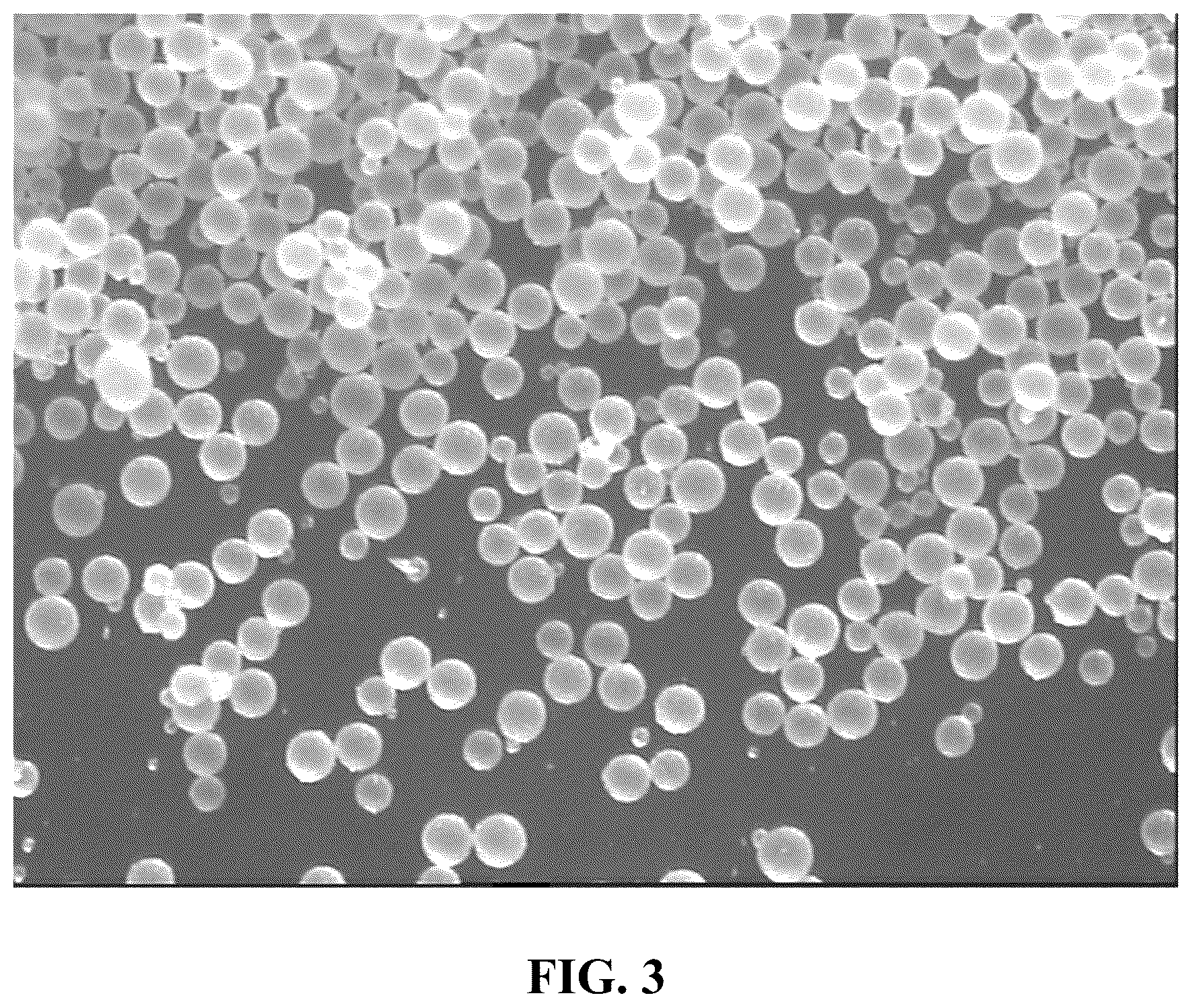 Patent US12319773 Figure 3 – Carrier for olefin polymerization catalyst, and preparation method therefor and application thereof