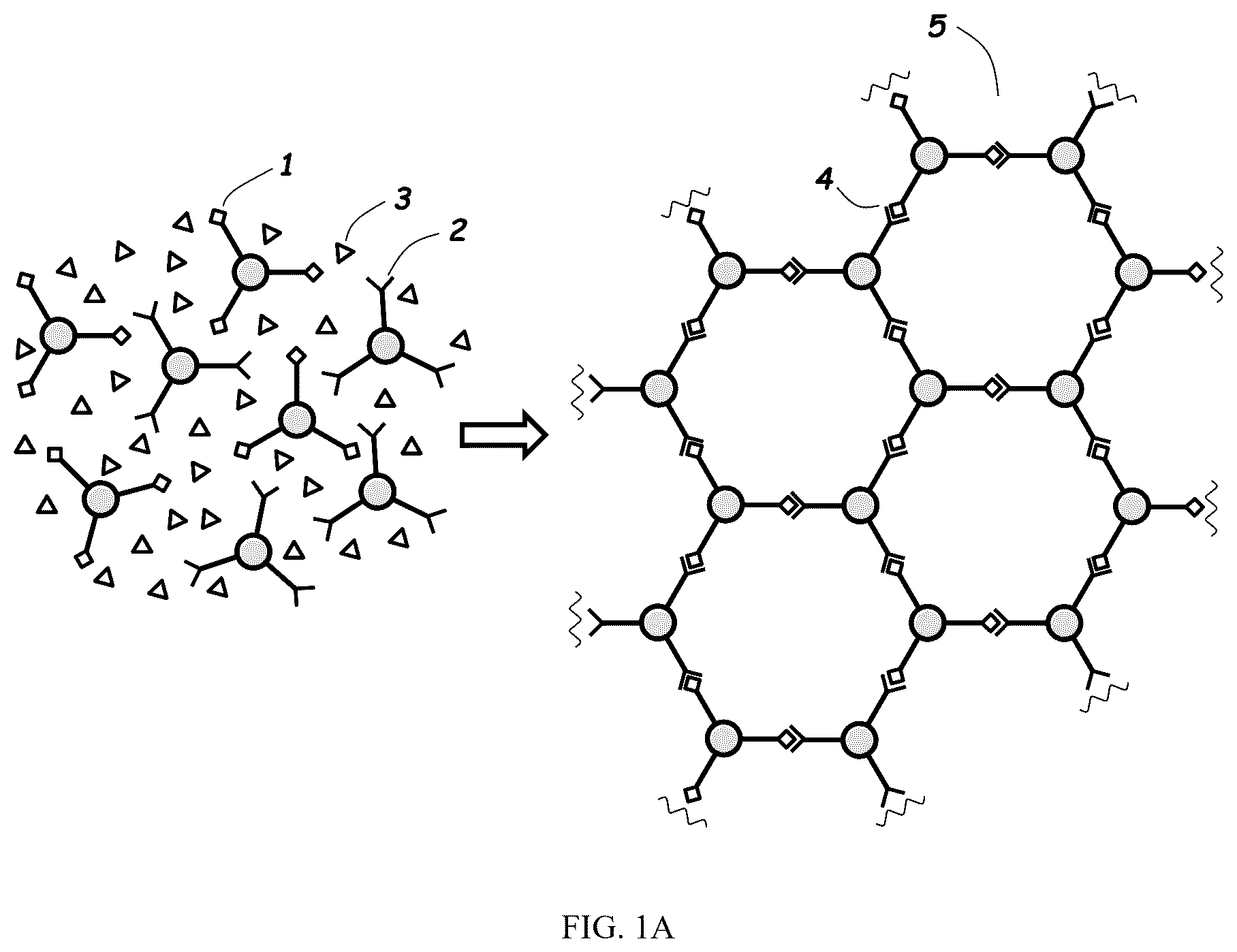 Patent US12319787 Figure 1 – Method for directly creating a film of 2D polymers from monomer solutions