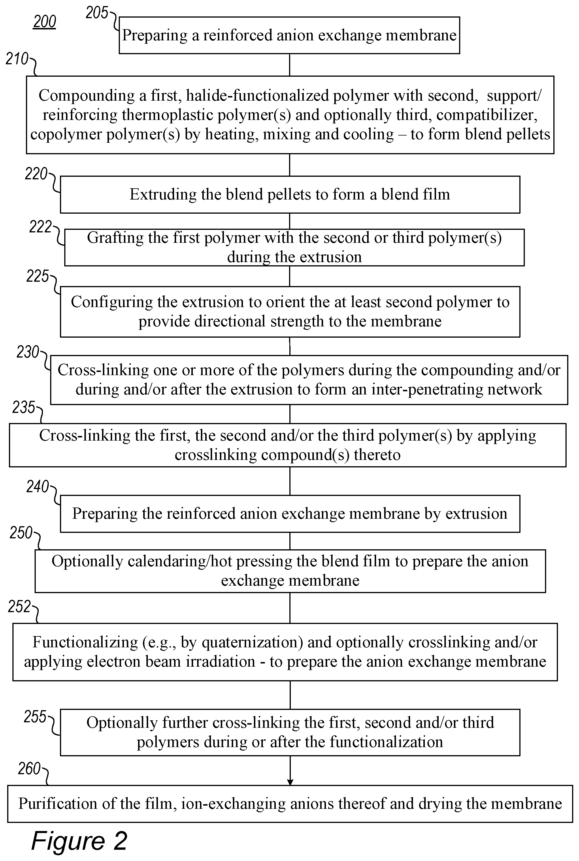 Patent US12319800 Figure 3 – Fabrication of reinforced anion exchange membranes