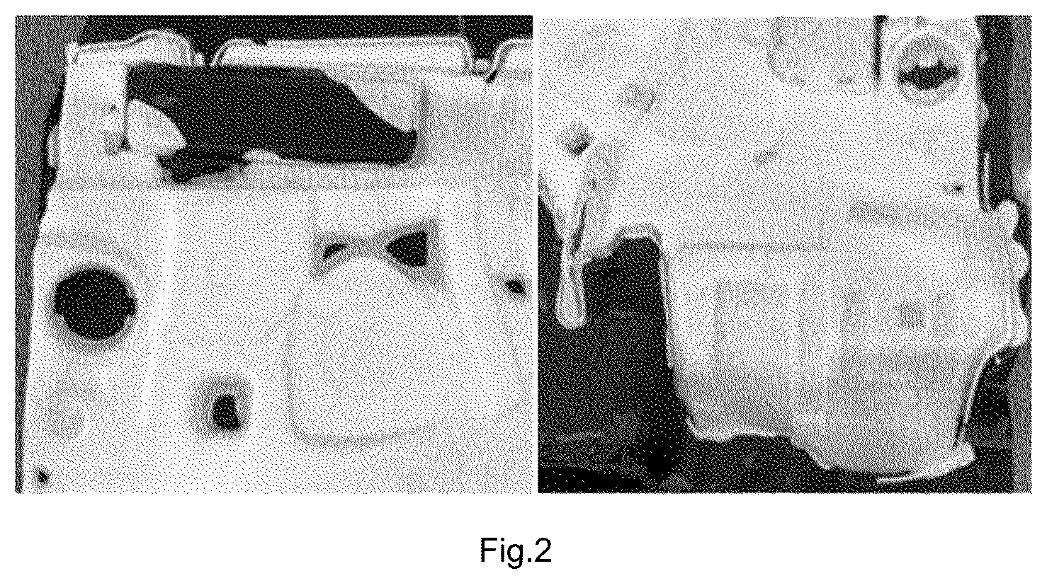Patent US12319803 Figure 2 – Low-density polyurethane foam composition as sound-absorbing material having improved appearance formability, smell reduction and sound absorption performance, method for manufacturing polyurethane foam and polyurethane foam manufactured therefrom