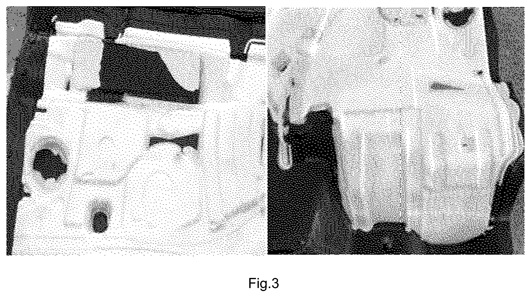 Patent US12319803 Figure 3 – Low-density polyurethane foam composition as sound-absorbing material having improved appearance formability, smell reduction and sound absorption performance, method for manufacturing polyurethane foam and polyurethane foam manufactured therefrom