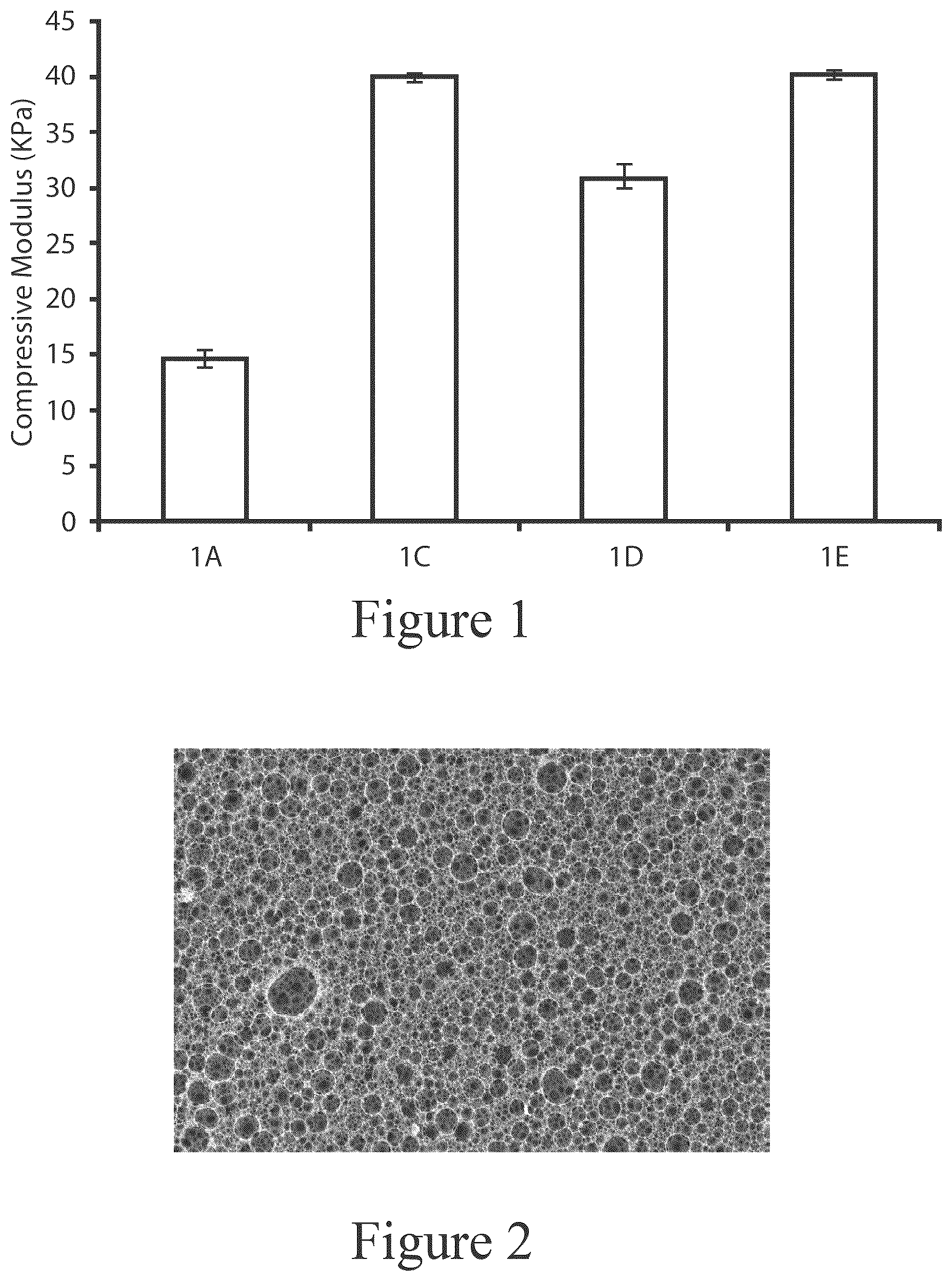 Patent US12319804 Figure 1 – High internal phase emulsion foam having cellulose nanoparticles