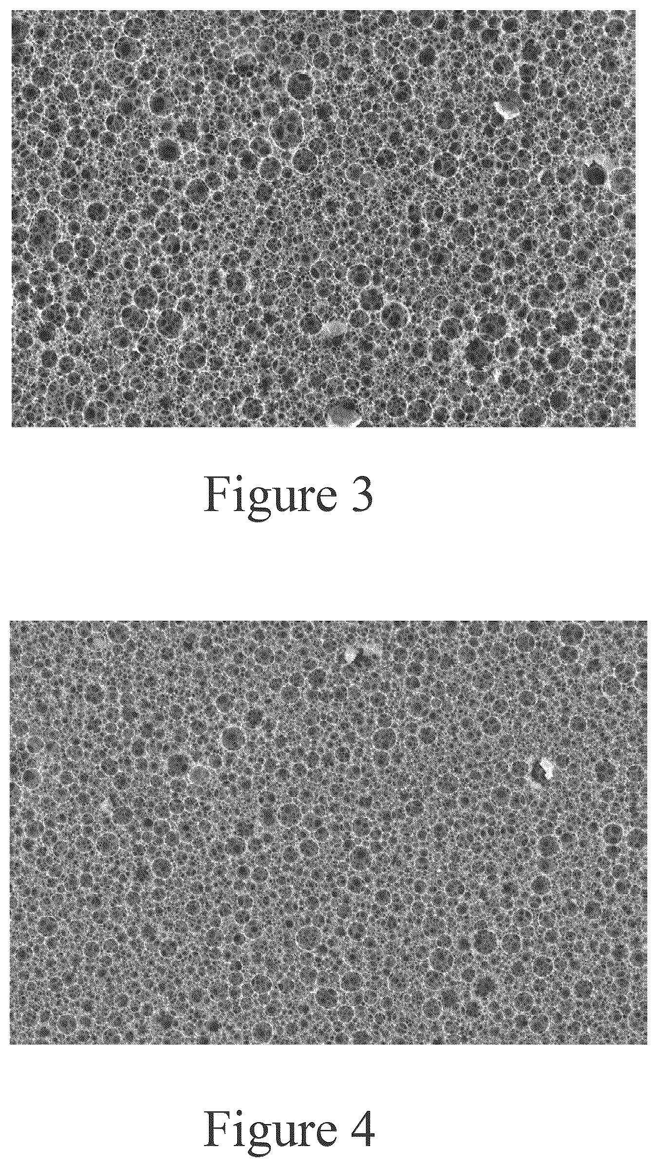 Patent US12319804 Figure 2 – High internal phase emulsion foam having cellulose nanoparticles