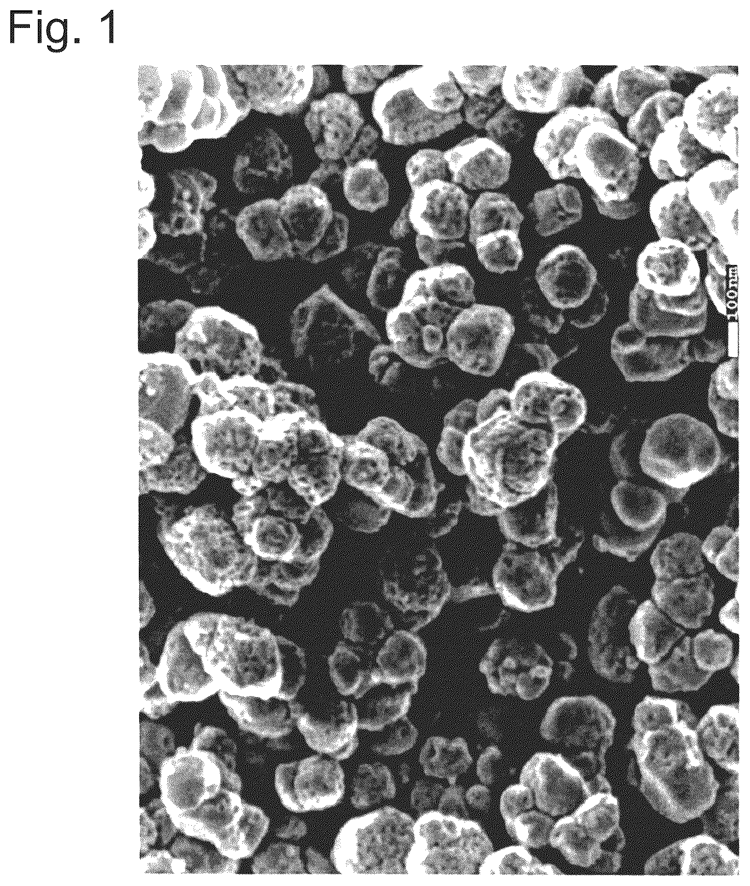 Patent US12319818 Figure 1 – Charge-adjustment powder having excellent ability to maintain applied charge, and method of manufacturing the same
