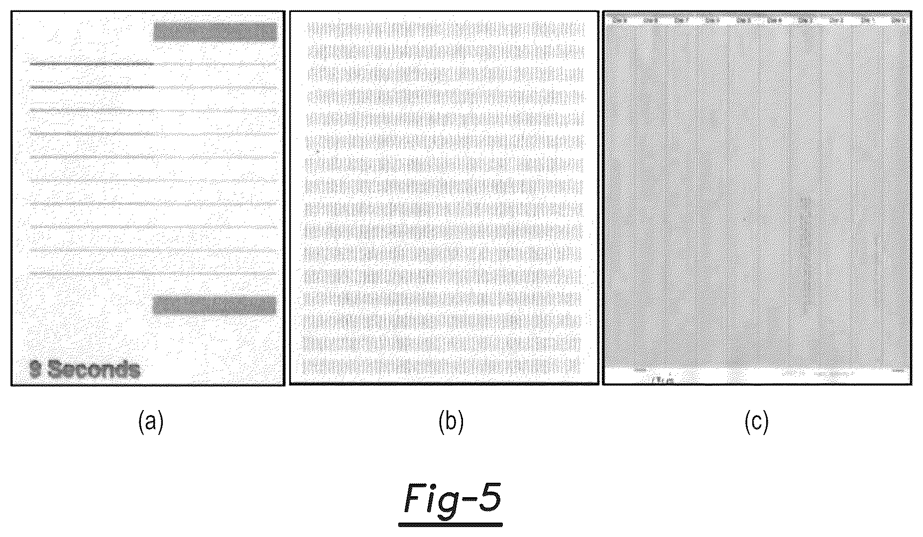Patent US12319830 Figure 5 – Three-dimensional printing with food contact compliant agents