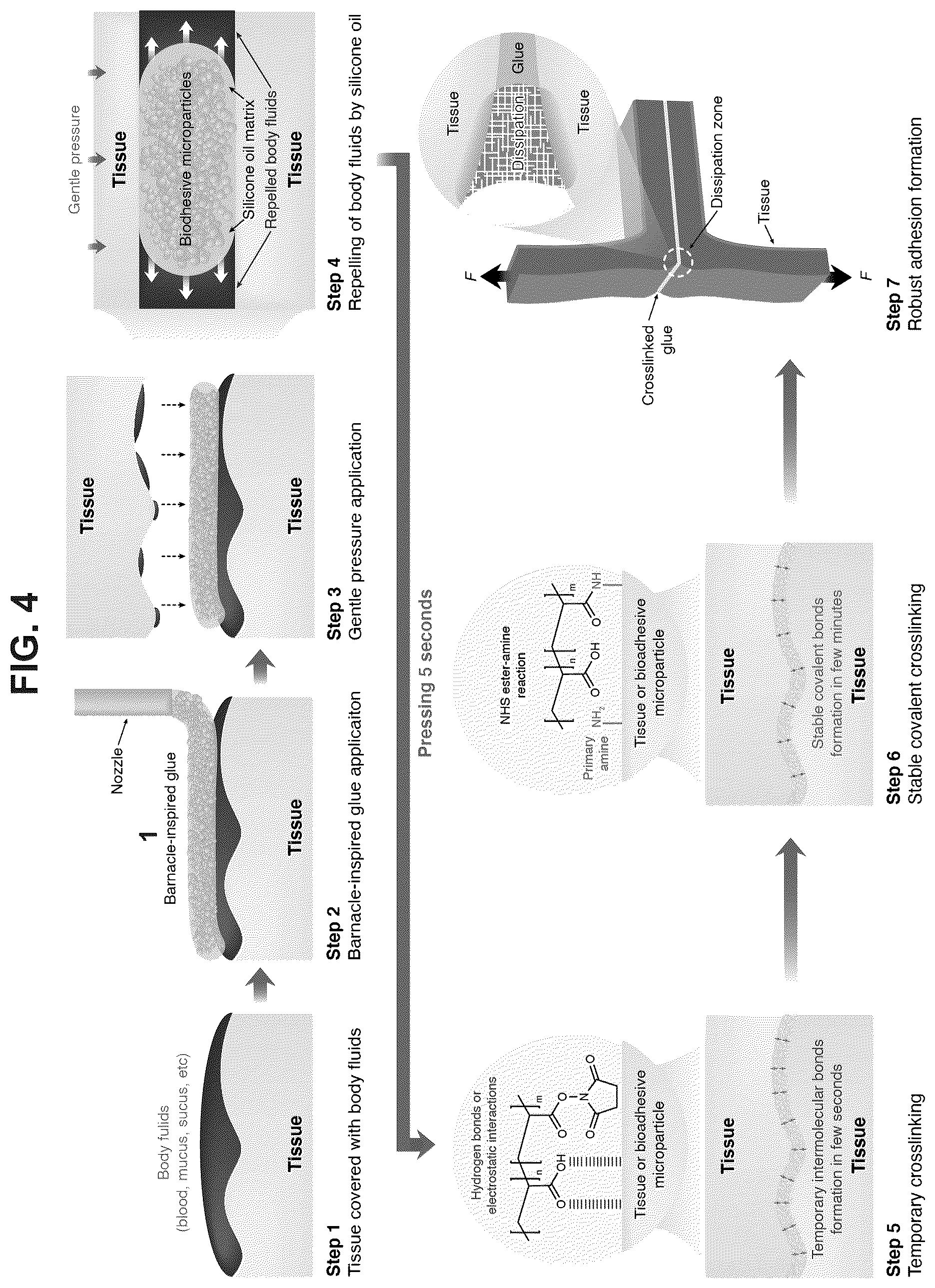 Patent US12319844 Figure 4 – Body fluid resistant tissue adhesives