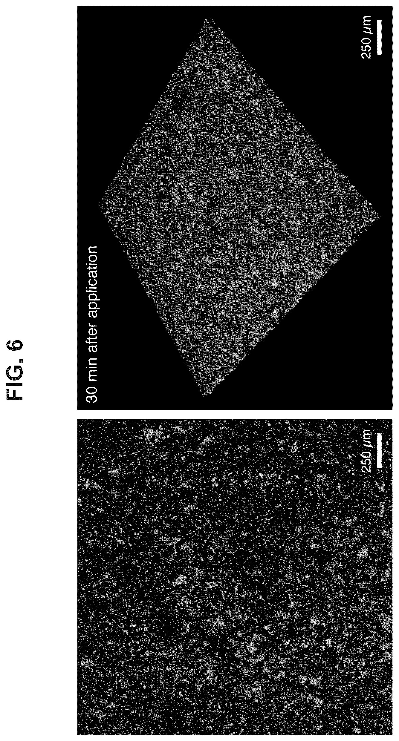 Patent US12319844 Figure 6 – Body fluid resistant tissue adhesives