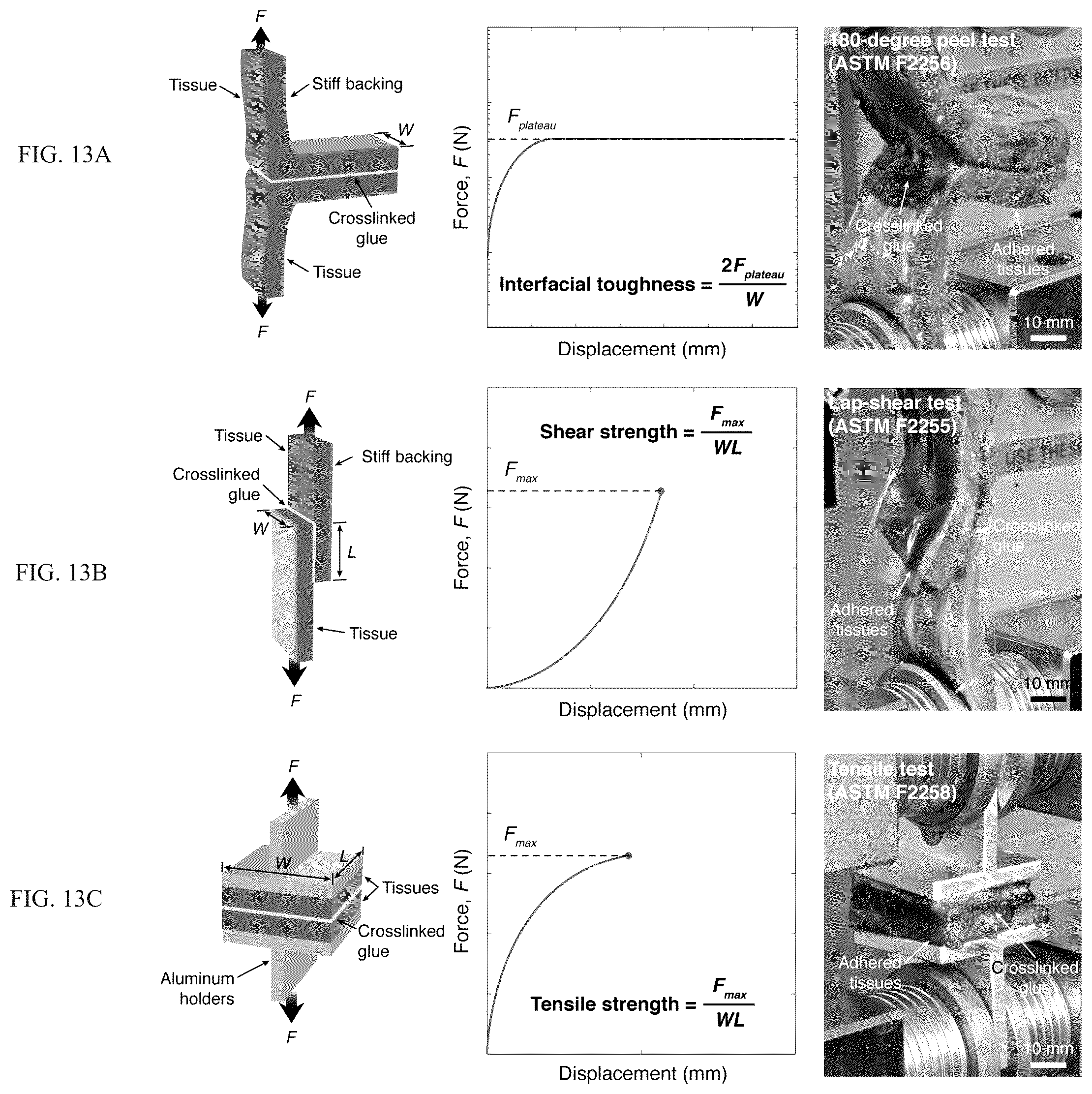Patent US12319844 Figure 13 – Body fluid resistant tissue adhesives