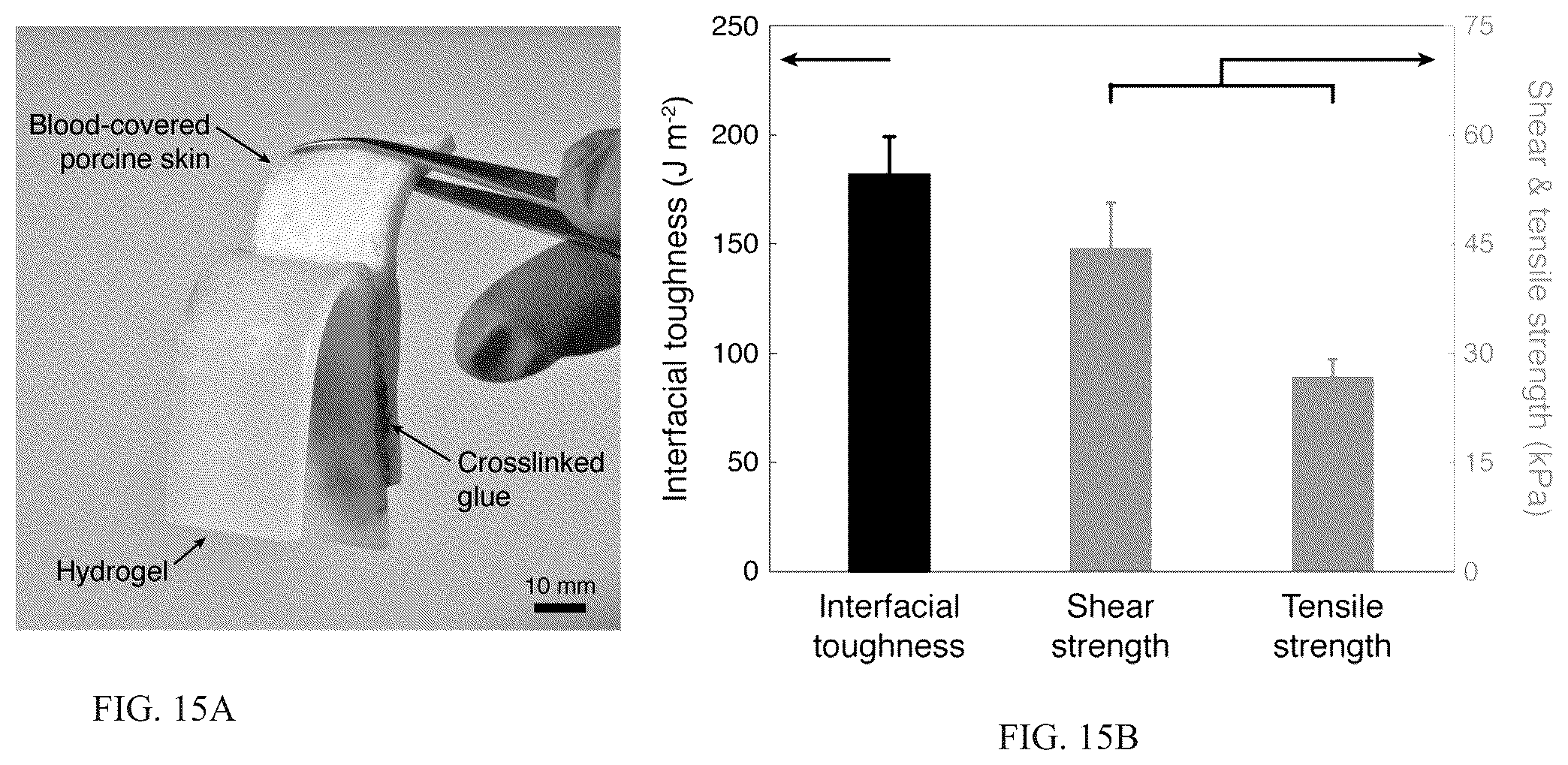 Patent US12319844 Figure 15 – Body fluid resistant tissue adhesives