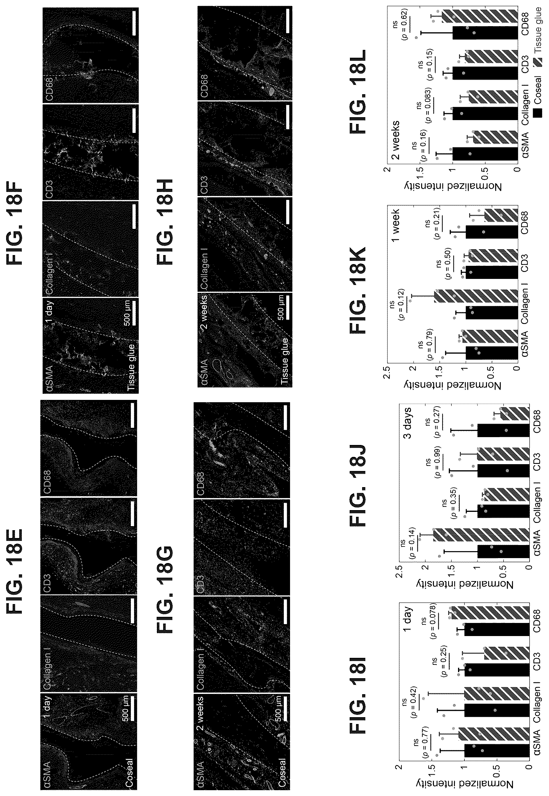 Patent US12319844 Figure 19 – Body fluid resistant tissue adhesives