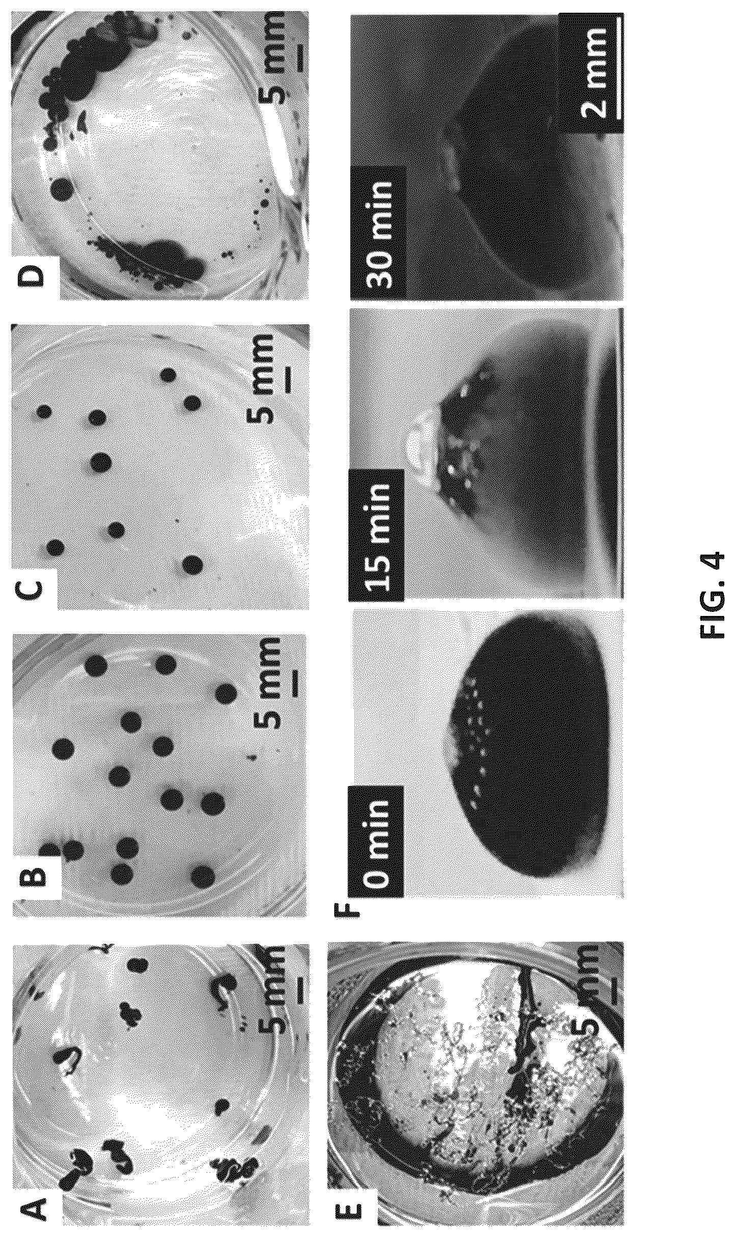 Patent US12319876 Figure 4 – Mechanically resilient bitumen microcapsules for midstream transport