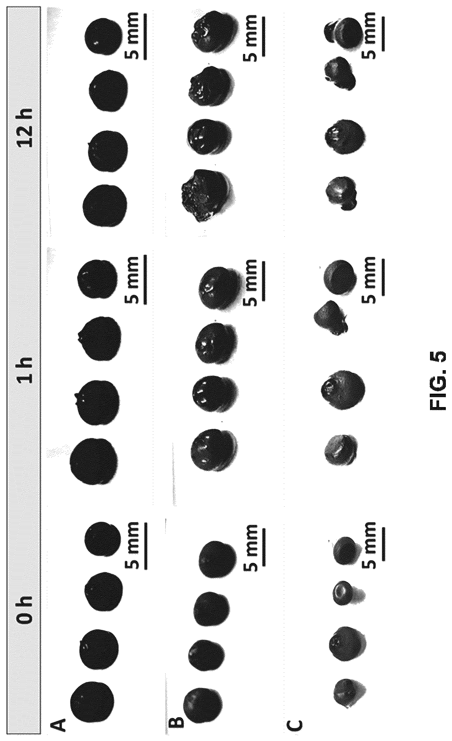 Patent US12319876 Figure 5 – Mechanically resilient bitumen microcapsules for midstream transport