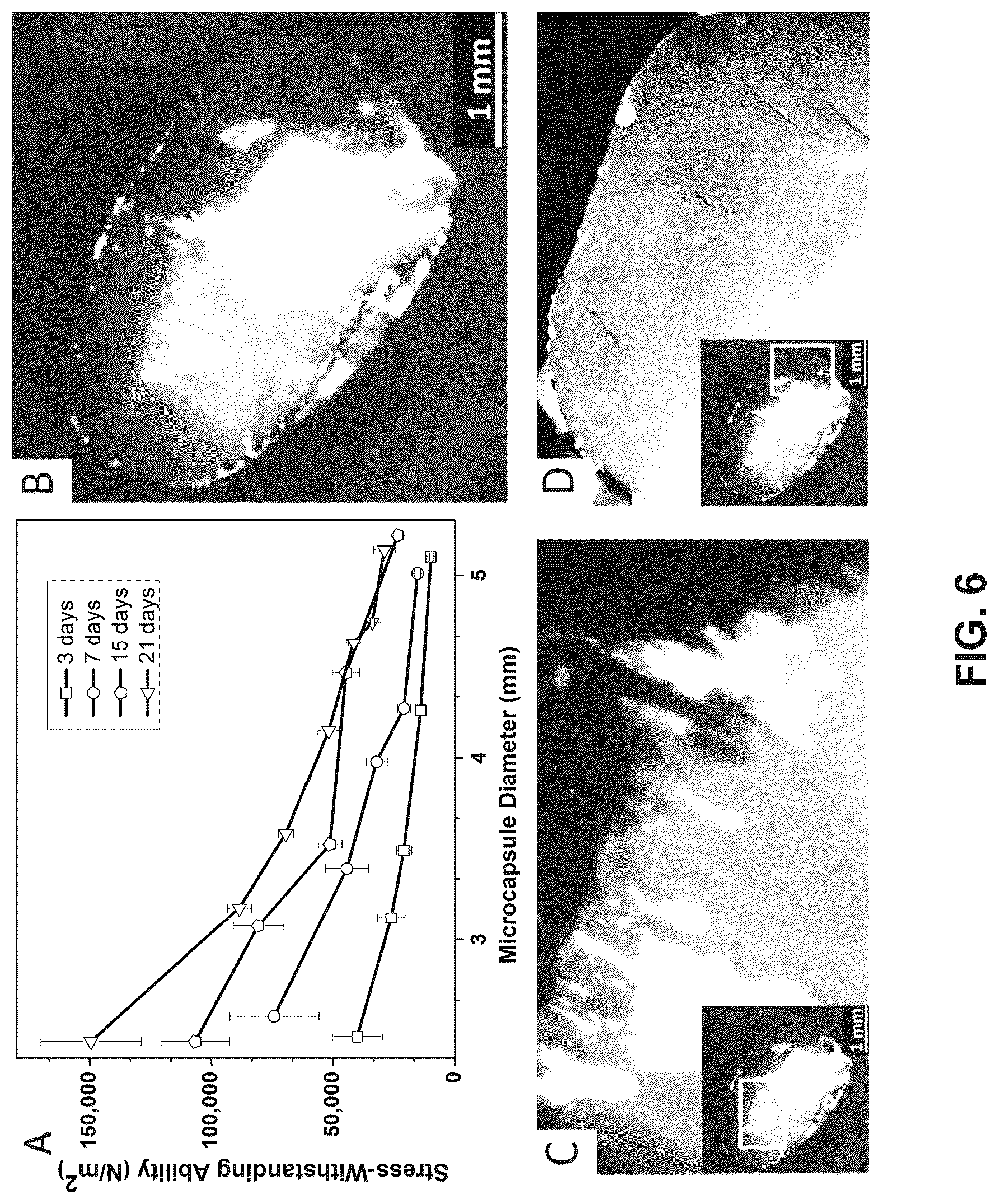 Patent US12319876 Figure 6 – Mechanically resilient bitumen microcapsules for midstream transport