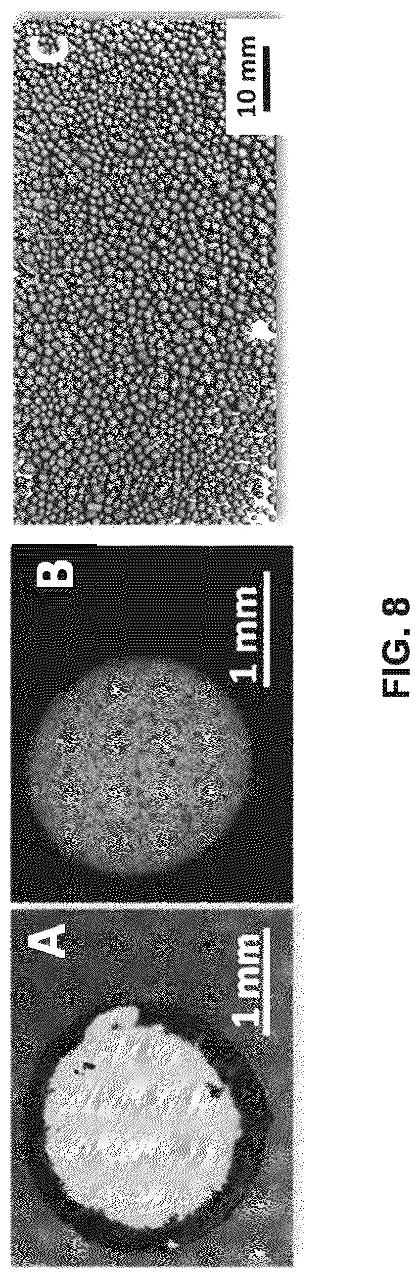 Patent US12319876 Figure 8 – Mechanically resilient bitumen microcapsules for midstream transport