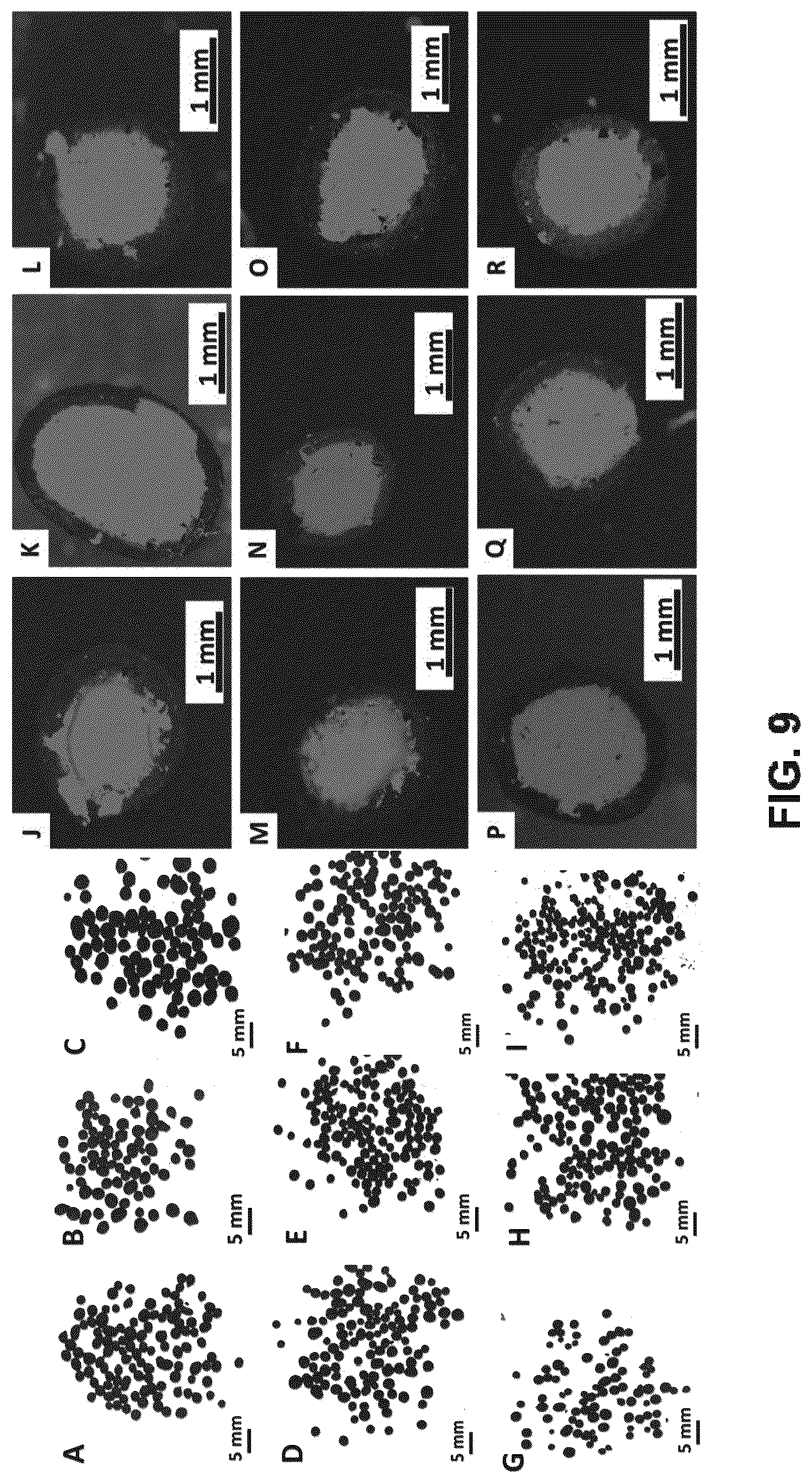 Patent US12319876 Figure 9 – Mechanically resilient bitumen microcapsules for midstream transport