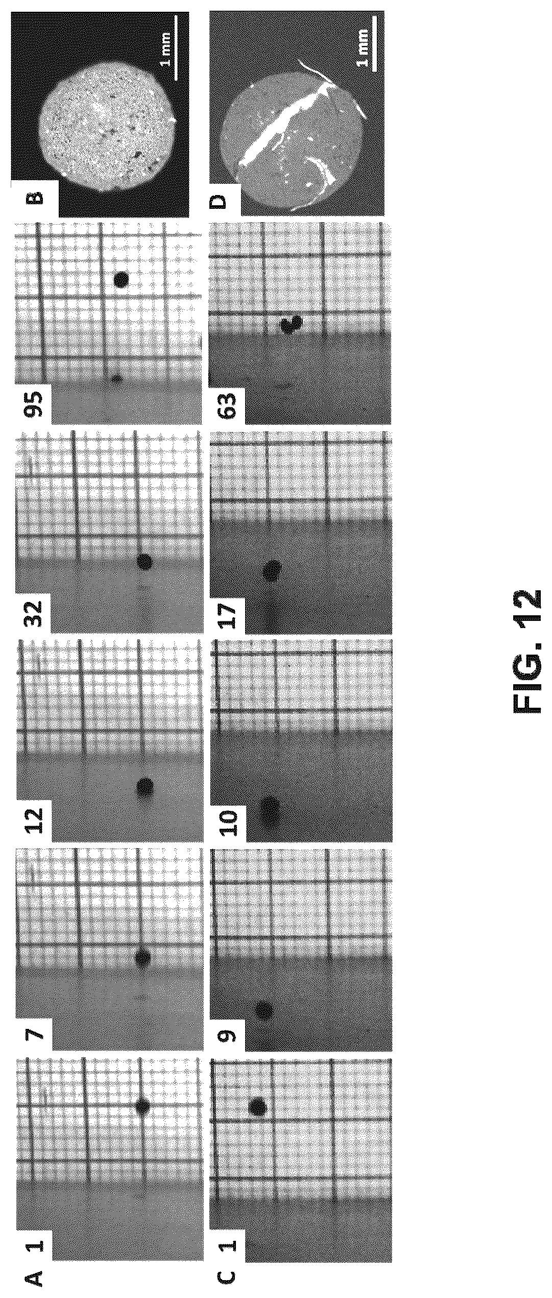 Patent US12319876 Figure 12 – Mechanically resilient bitumen microcapsules for midstream transport