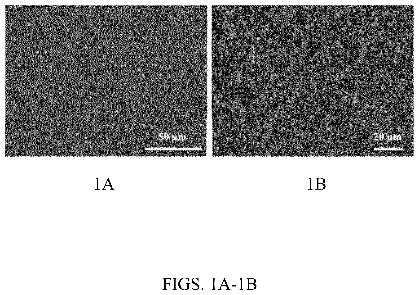 Patent US12319884 Figure 1 – Biomass fractionation method for producing biomass of varying ash content and uses thereof