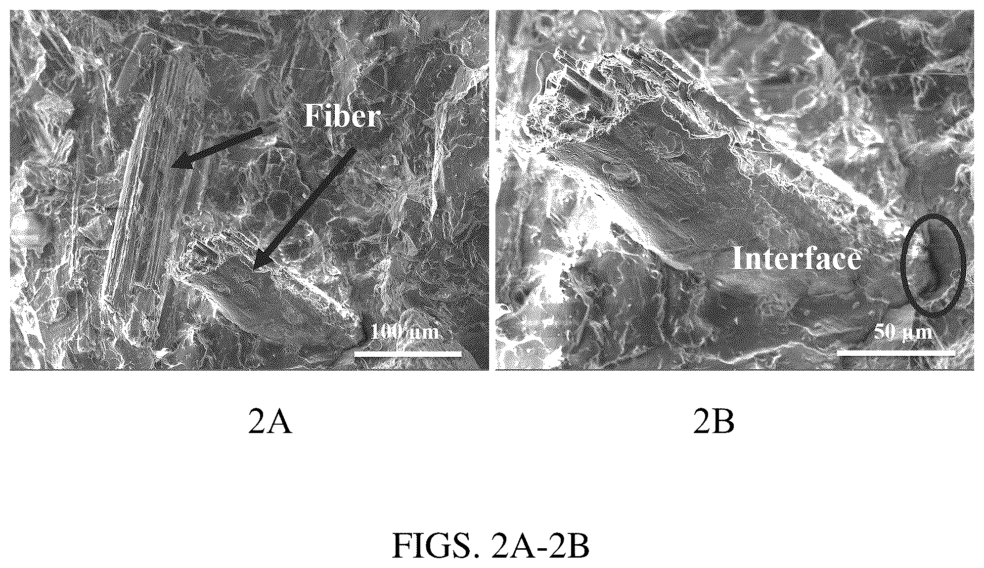 Patent US12319884 Figure 2 – Biomass fractionation method for producing biomass of varying ash content and uses thereof