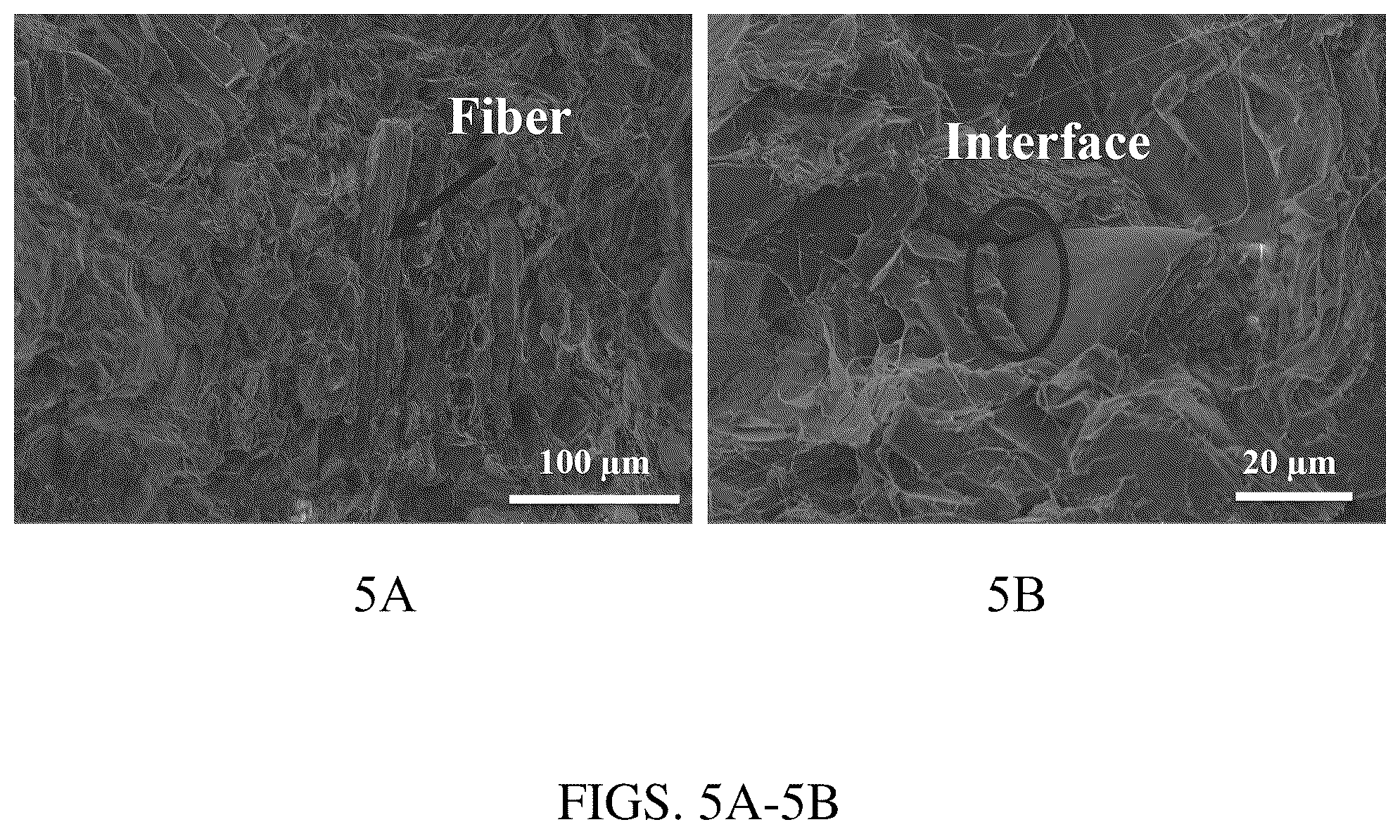 Patent US12319884 Figure 5 – Biomass fractionation method for producing biomass of varying ash content and uses thereof