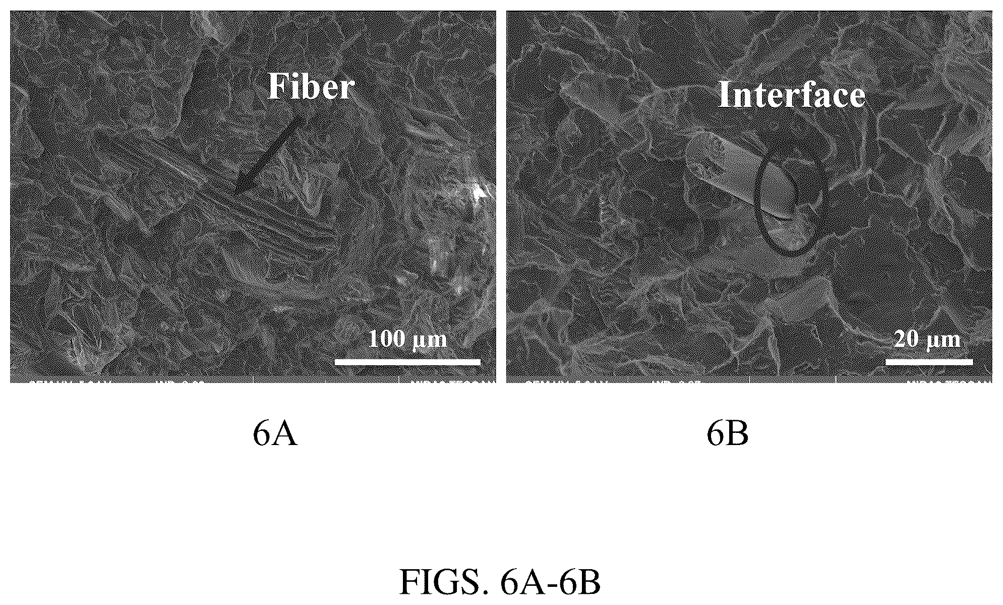 Patent US12319884 Figure 6 – Biomass fractionation method for producing biomass of varying ash content and uses thereof