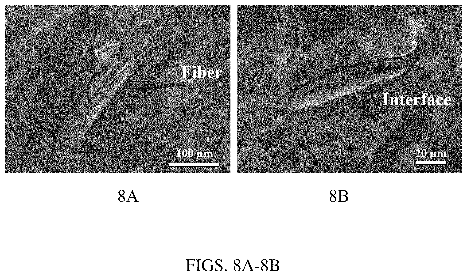 Patent US12319884 Figure 8 – Biomass fractionation method for producing biomass of varying ash content and uses thereof