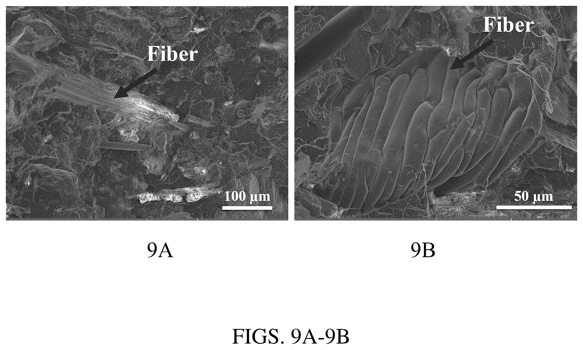 Patent US12319884 Figure 9 – Biomass fractionation method for producing biomass of varying ash content and uses thereof