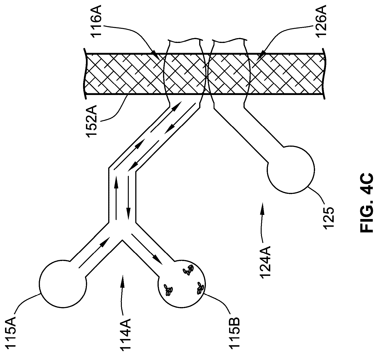 Patent US12319901 Figure 7 – Isolating live cells after high-throughput, long-term, time-lapse microscopy