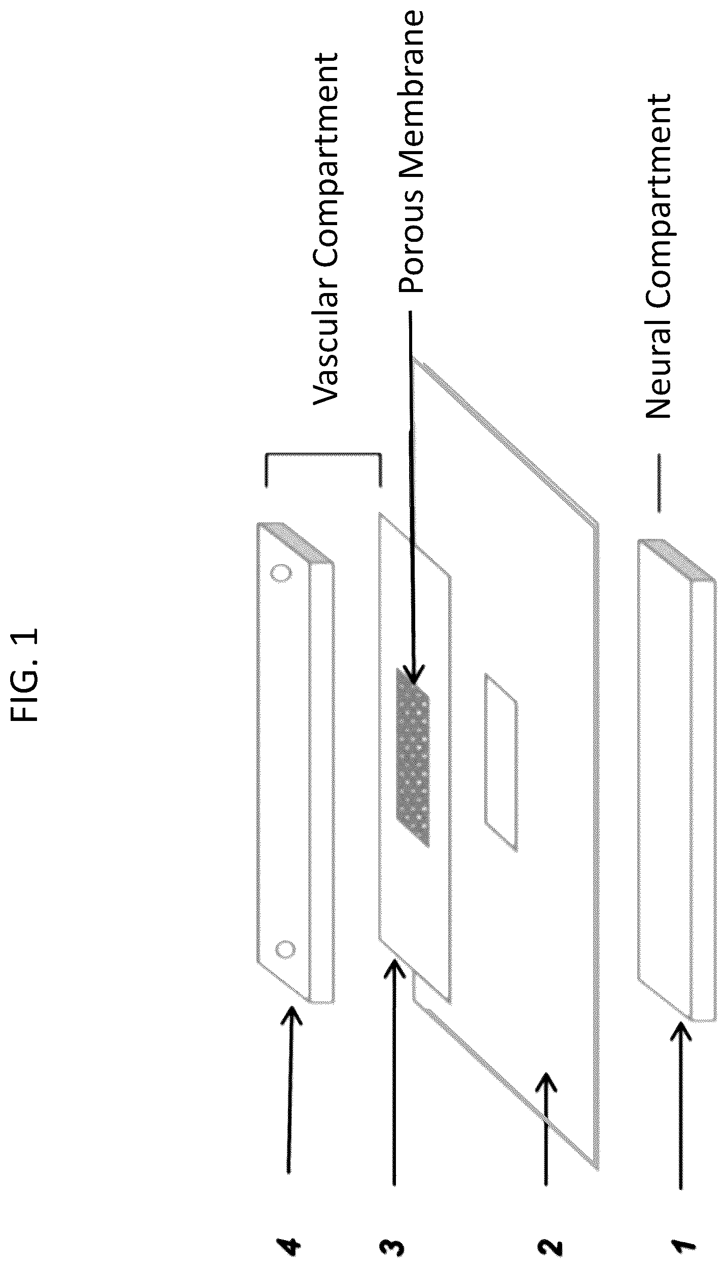 Patent US12319903 Figure 1 – Elastically deformable components and assemblies for use in cellular assays