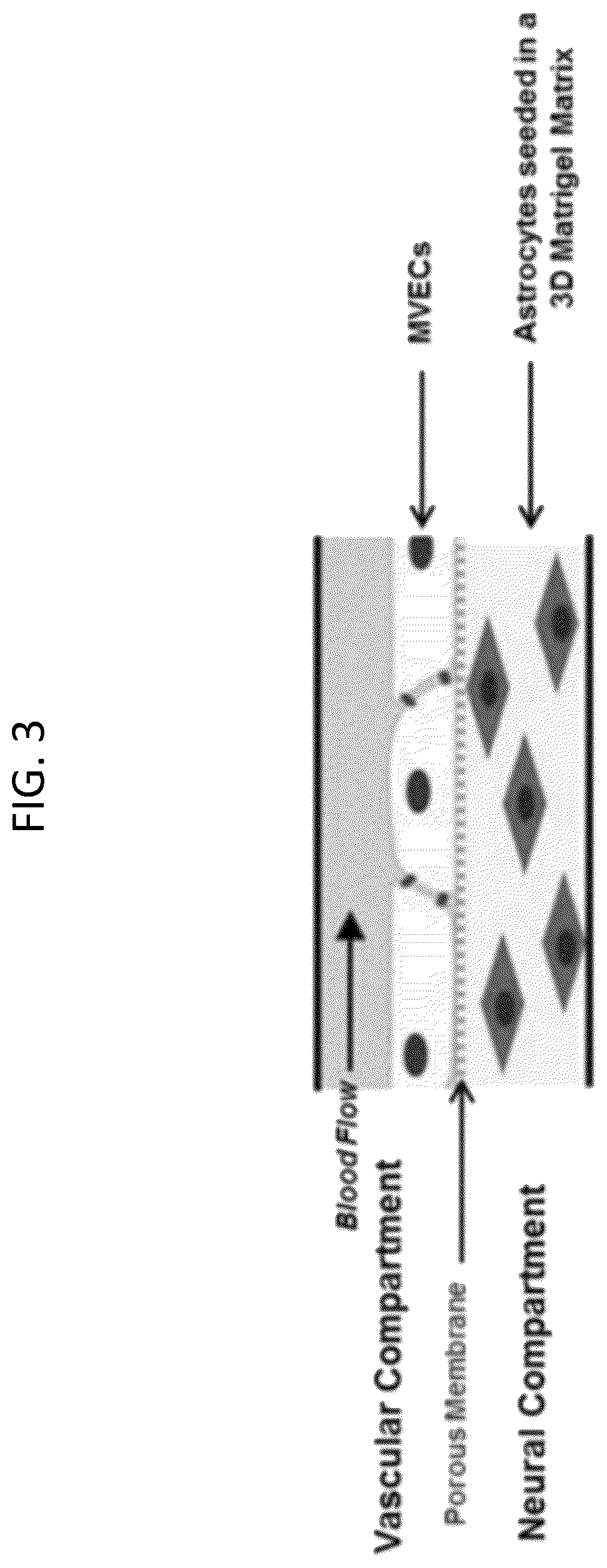 Patent US12319903 Figure 3 – Elastically deformable components and assemblies for use in cellular assays