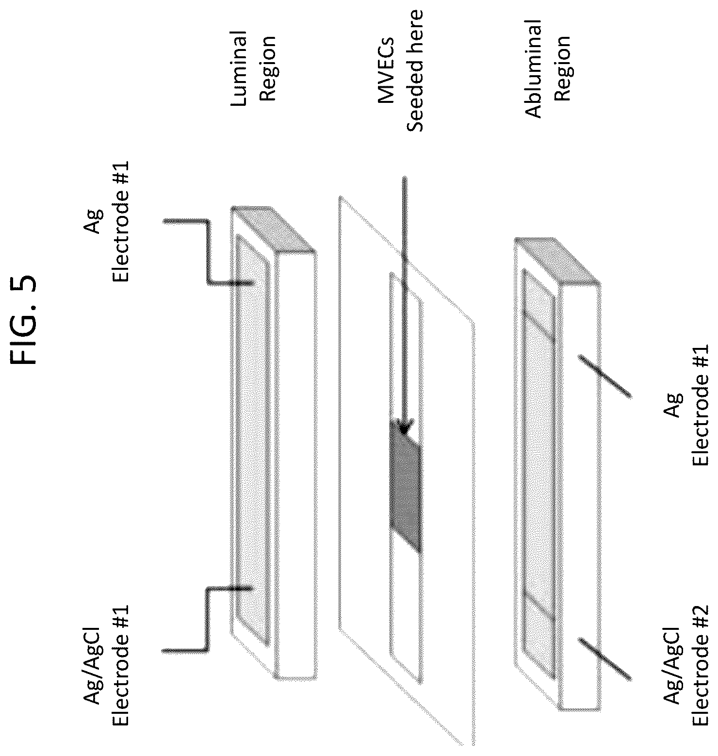 Patent US12319903 Figure 5 – Elastically deformable components and assemblies for use in cellular assays