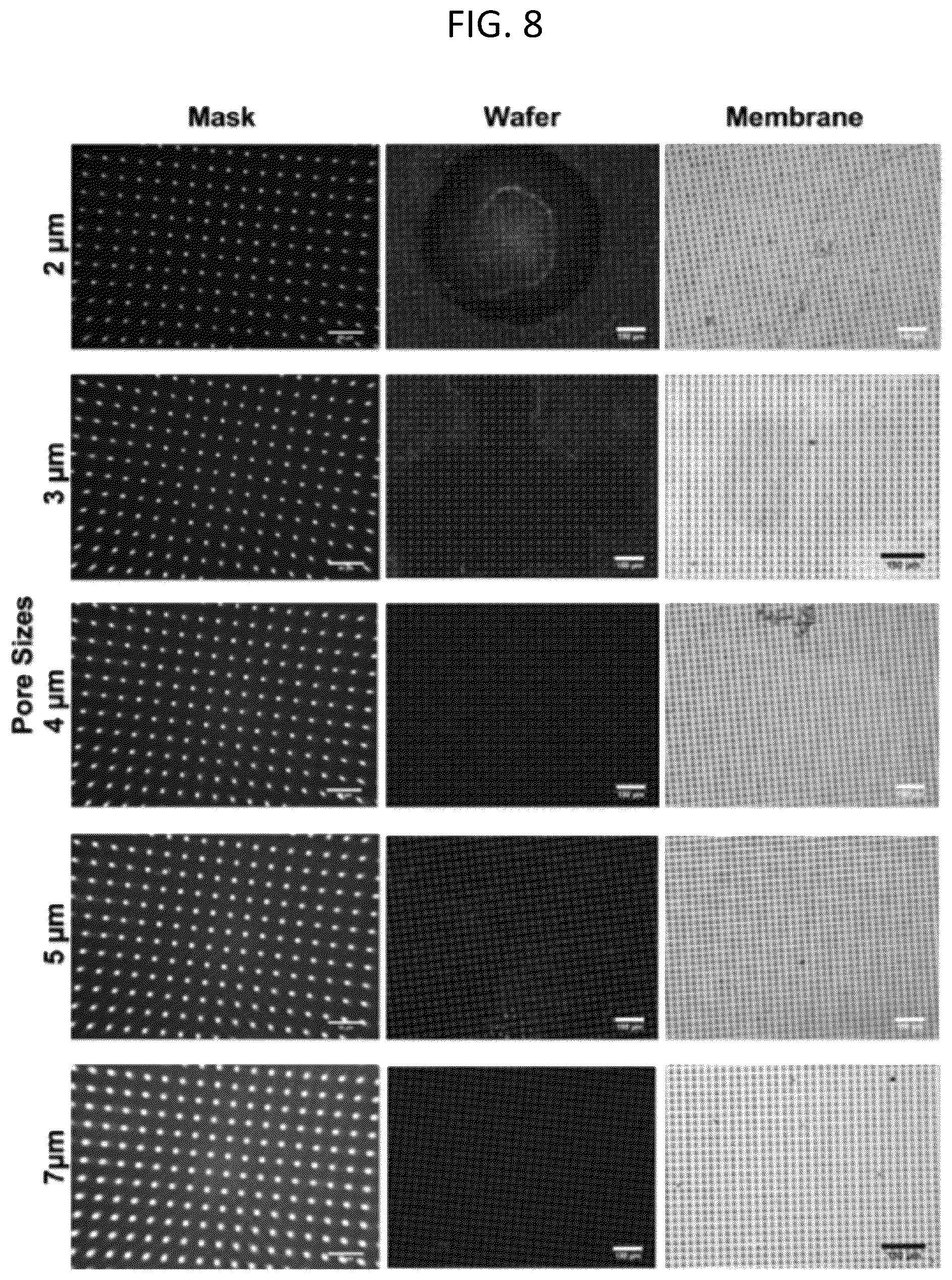 Patent US12319903 Figure 8 – Elastically deformable components and assemblies for use in cellular assays