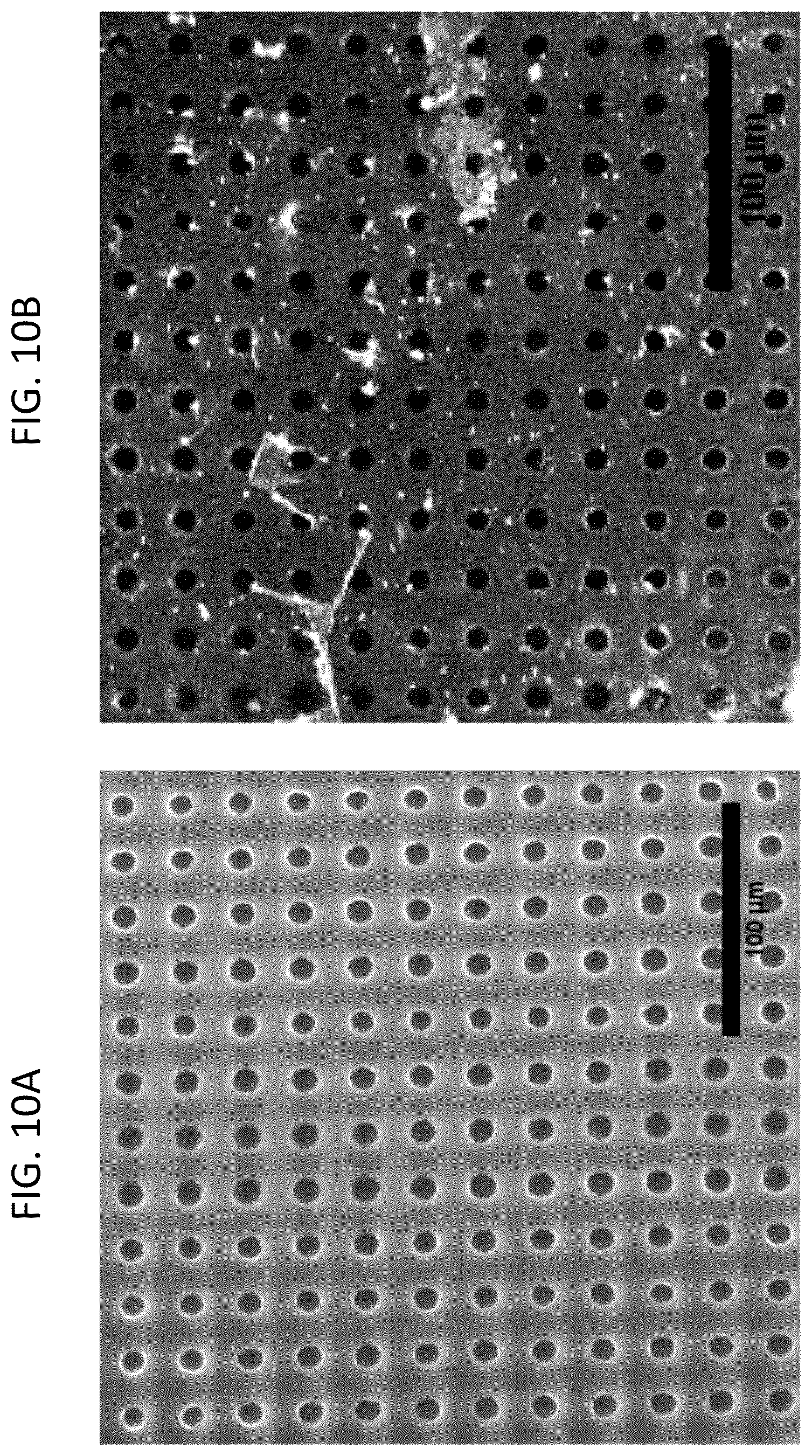 Patent US12319903 Figure 10 – Elastically deformable components and assemblies for use in cellular assays