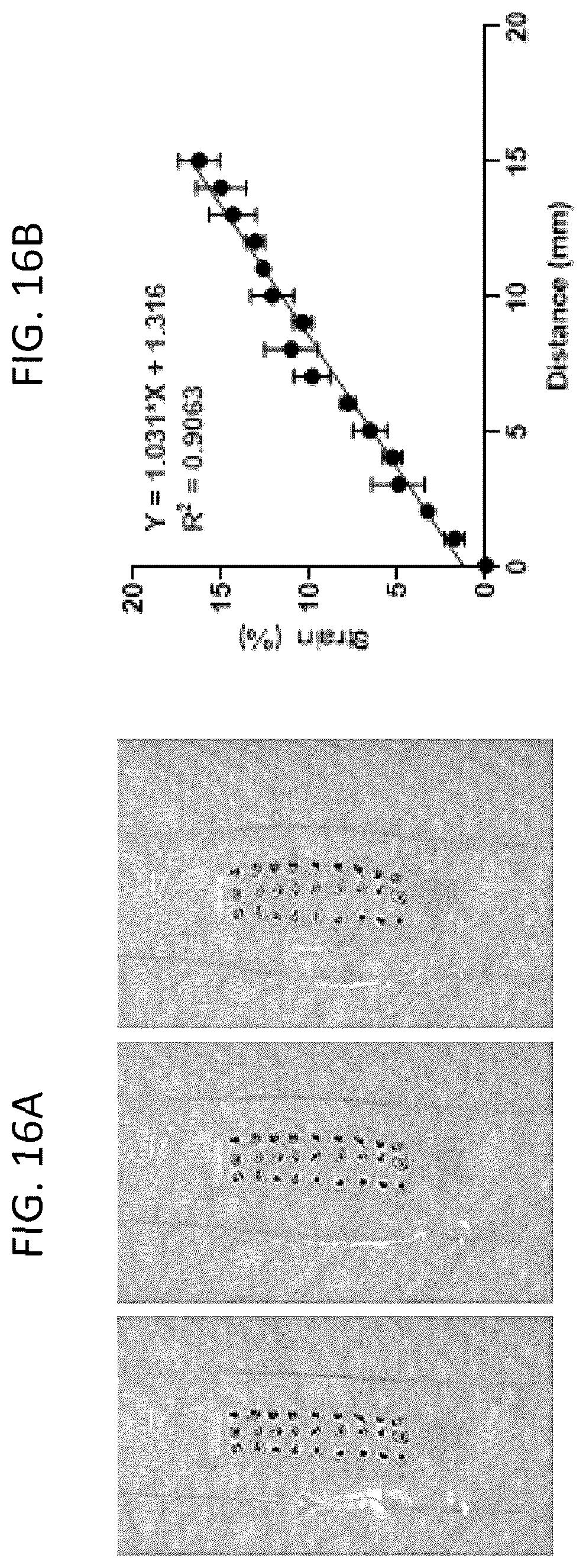 Patent US12319903 Figure 16 – Elastically deformable components and assemblies for use in cellular assays