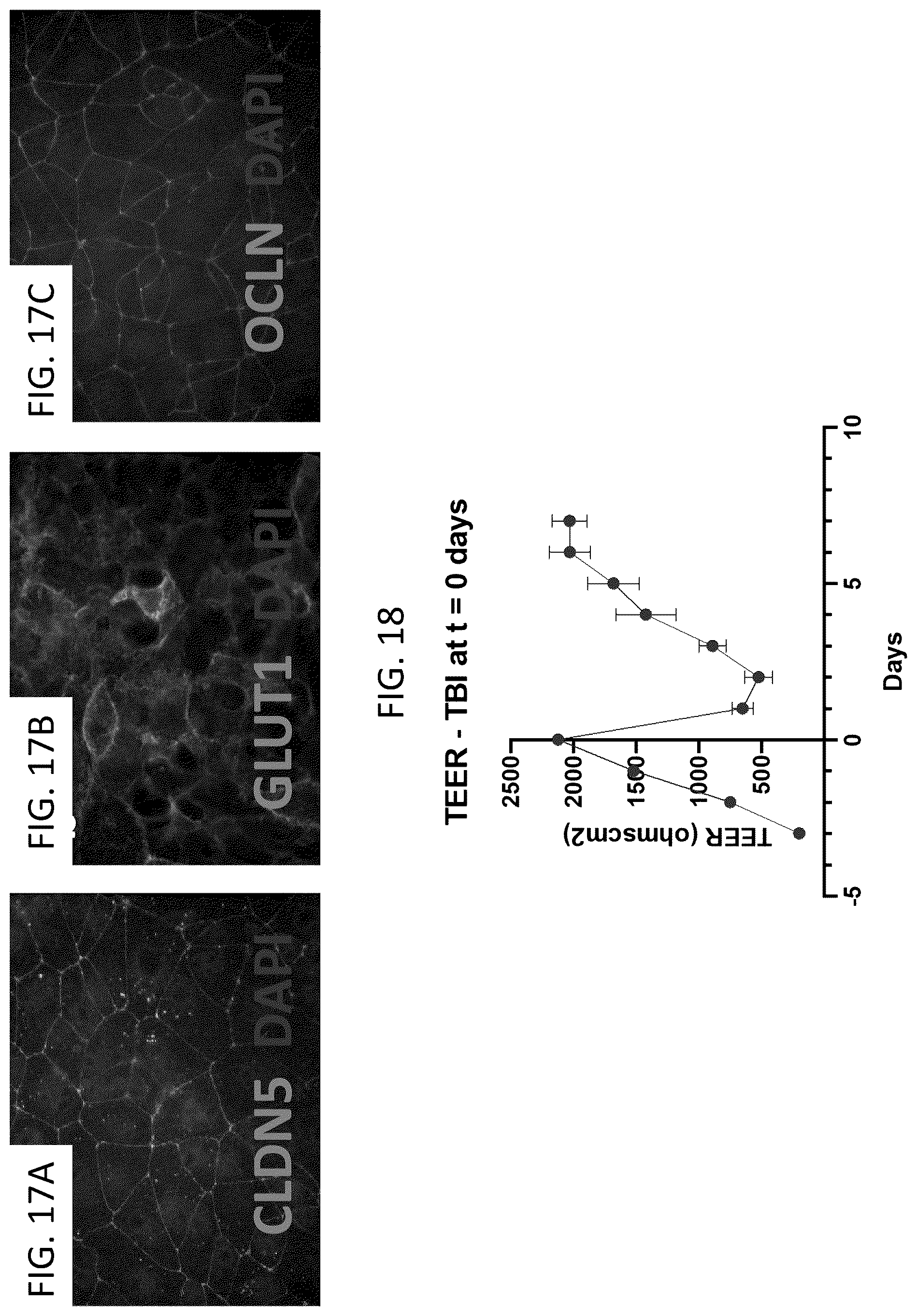 Patent US12319903 Figure 19 – Elastically deformable components and assemblies for use in cellular assays