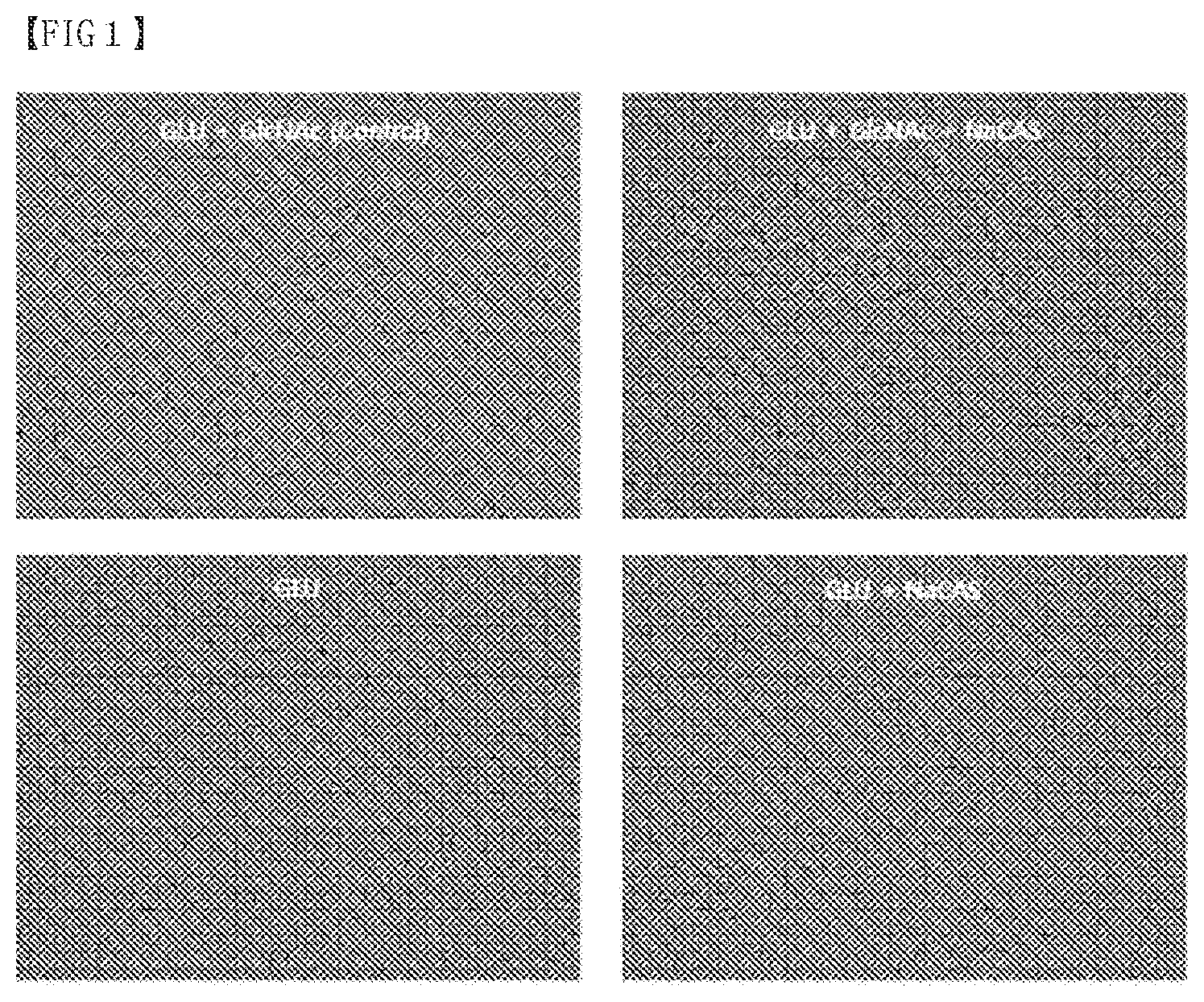 Patent US12319907 Figure 1 – Composition of culture media for Faecalibacterium prausnitzii