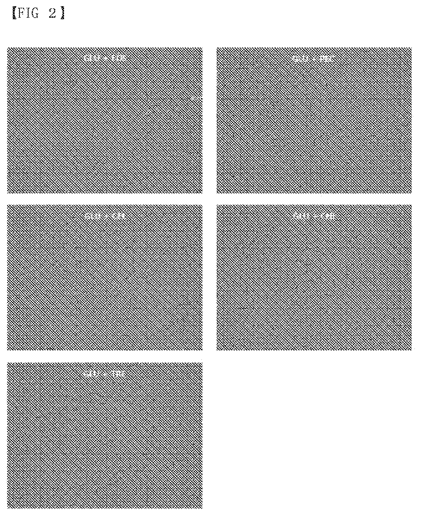 Patent US12319907 Figure 2 – Composition of culture media for Faecalibacterium prausnitzii