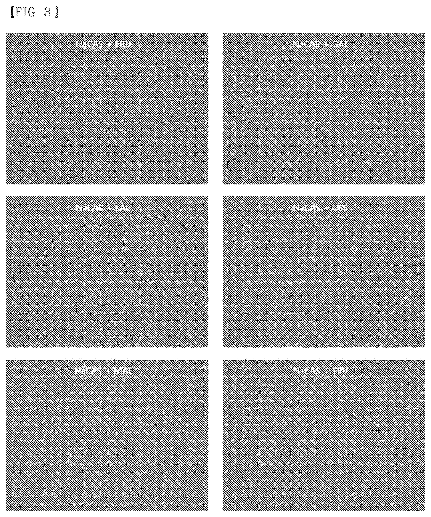 Patent US12319907 Figure 3 – Composition of culture media for Faecalibacterium prausnitzii