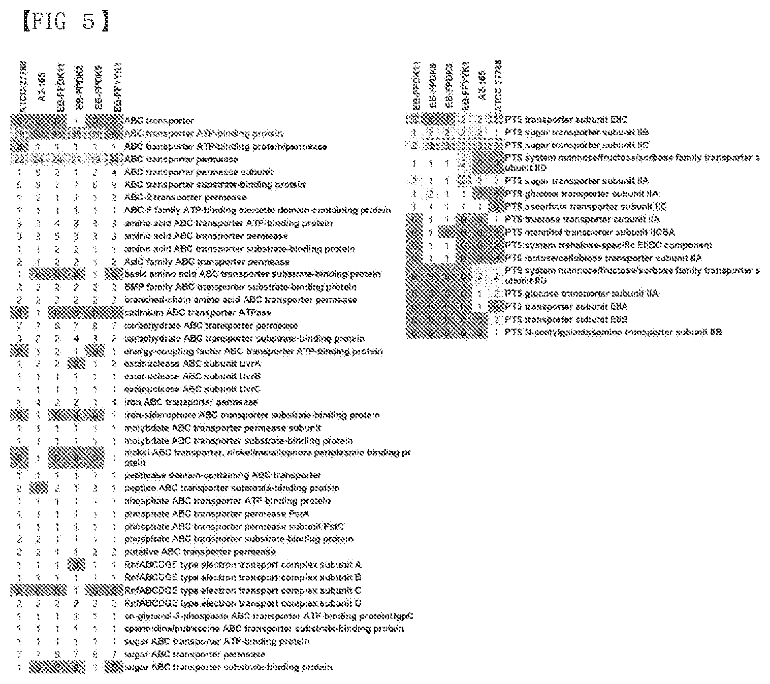 Patent US12319907 Figure 5 – Composition of culture media for Faecalibacterium prausnitzii