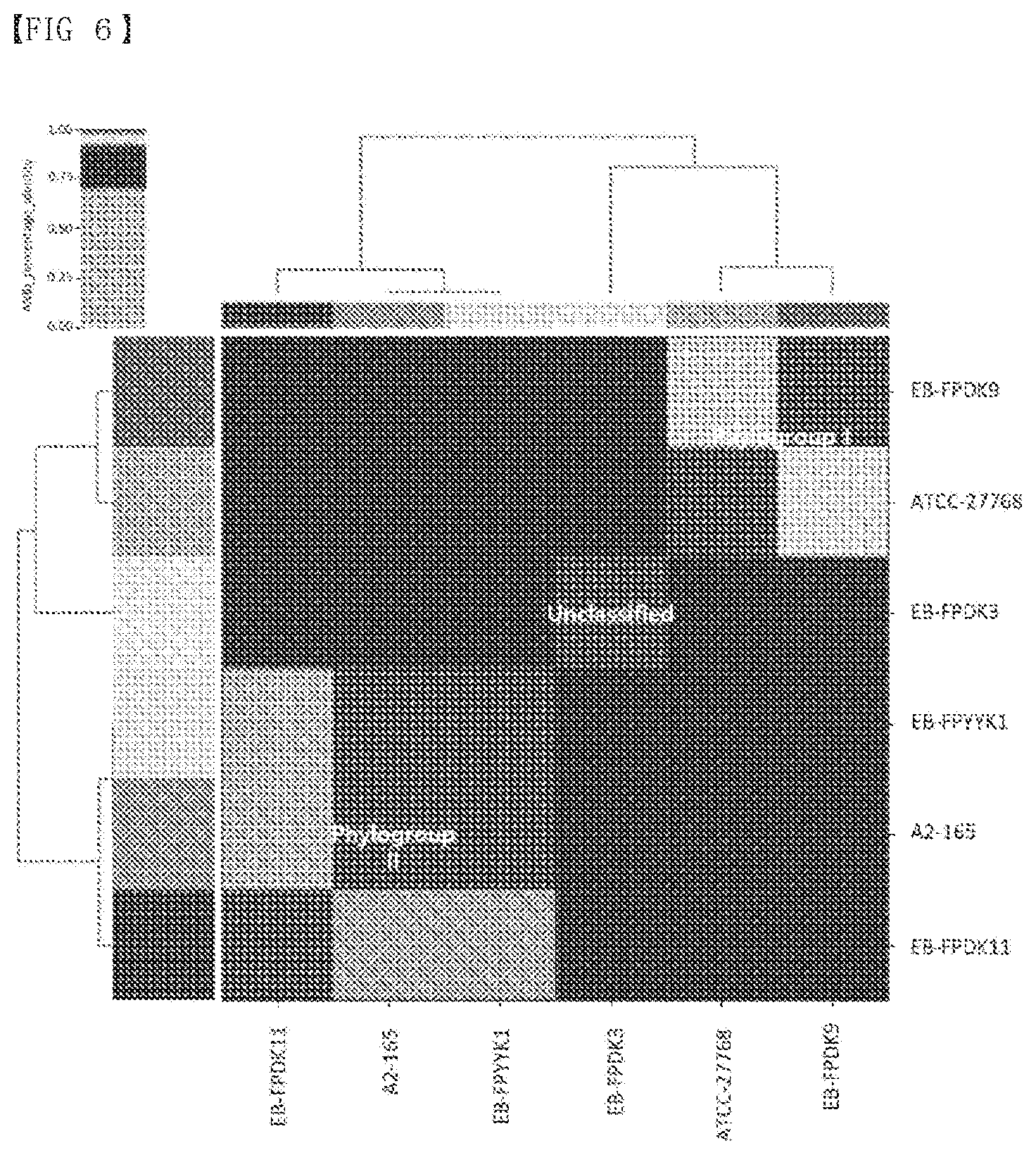 Patent US12319907 Figure 6 – Composition of culture media for Faecalibacterium prausnitzii