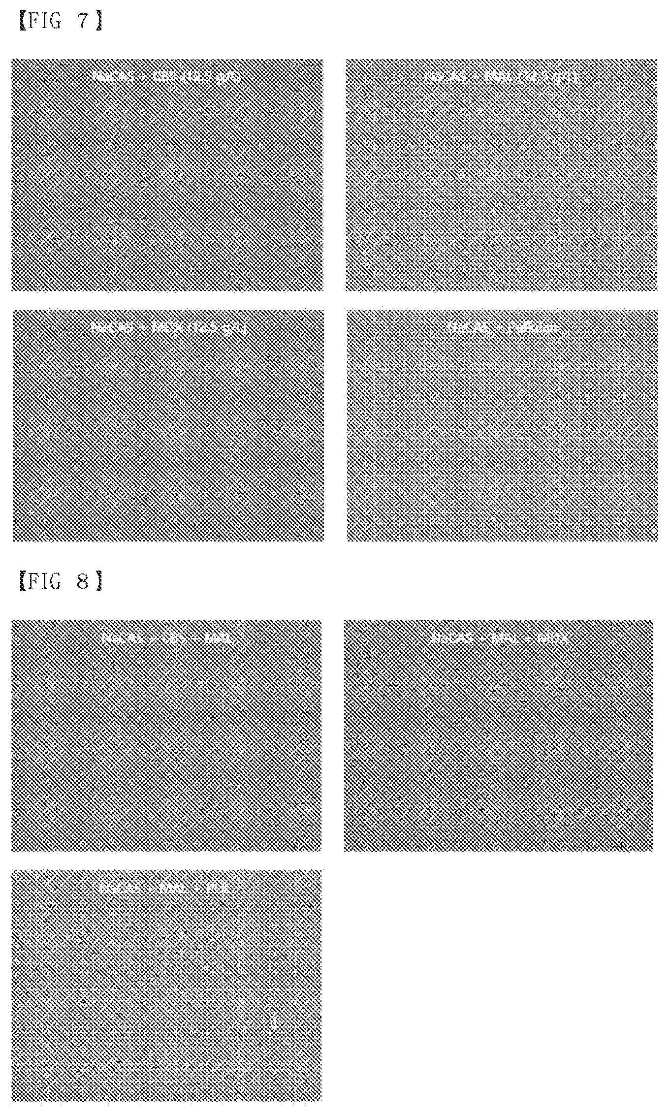 Patent US12319907 Figure 7 – Composition of culture media for Faecalibacterium prausnitzii