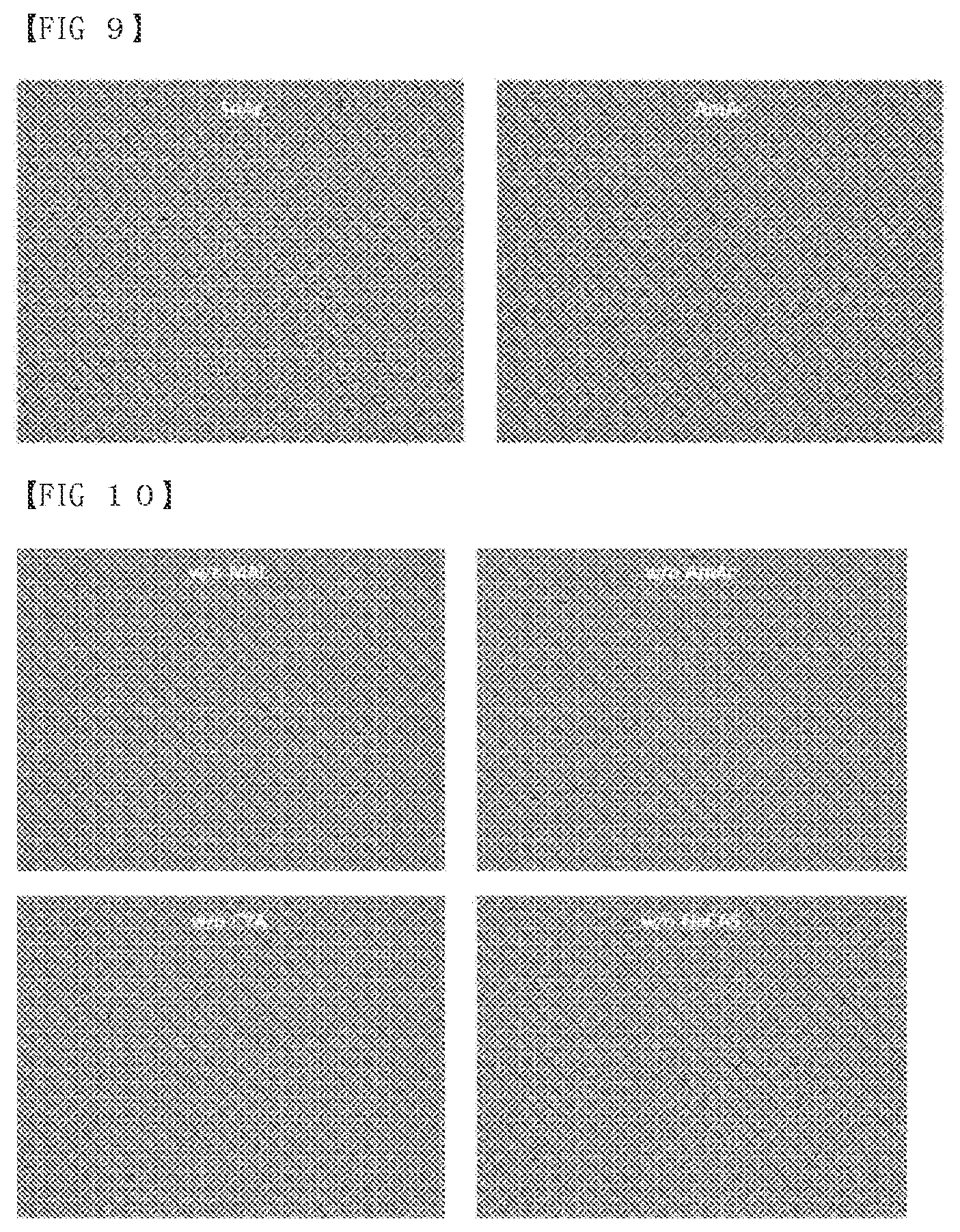 Patent US12319907 Figure 8 – Composition of culture media for Faecalibacterium prausnitzii