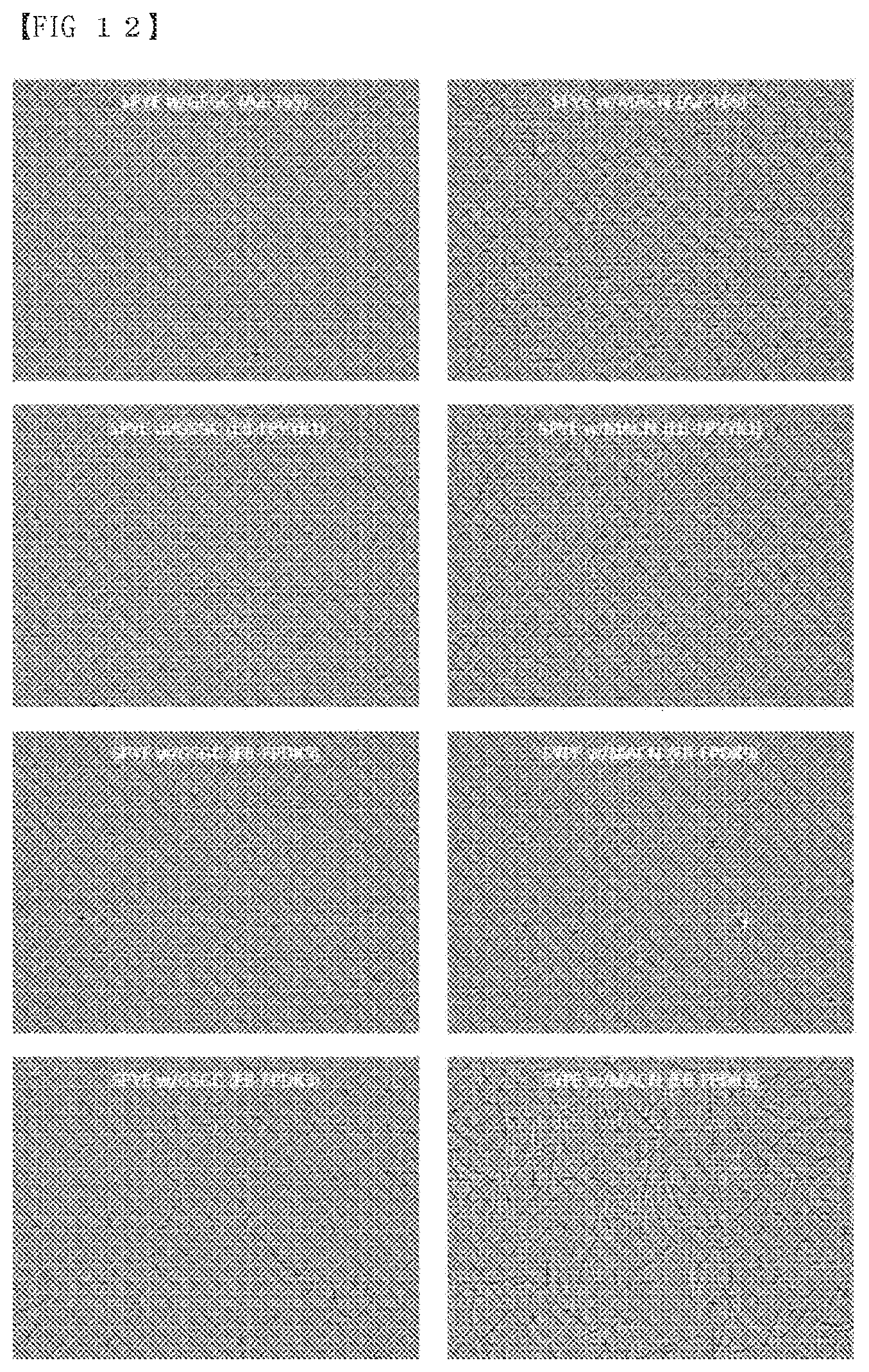 Patent US12319907 Figure 10 – Composition of culture media for Faecalibacterium prausnitzii